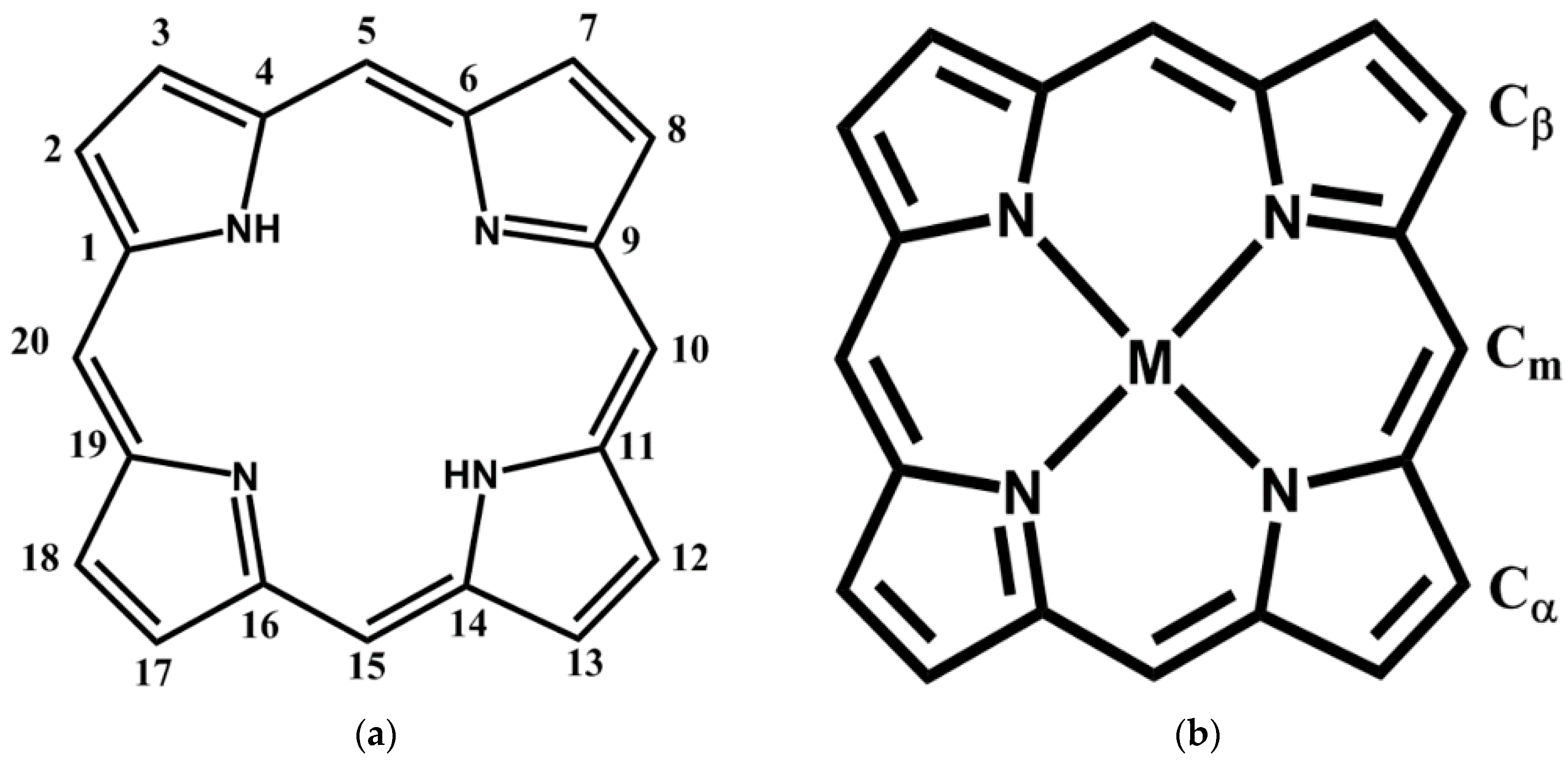 Porphyrin - medicine - Porphyrin In addition to serving as building blocks  for proteins, amino acids - Studocu