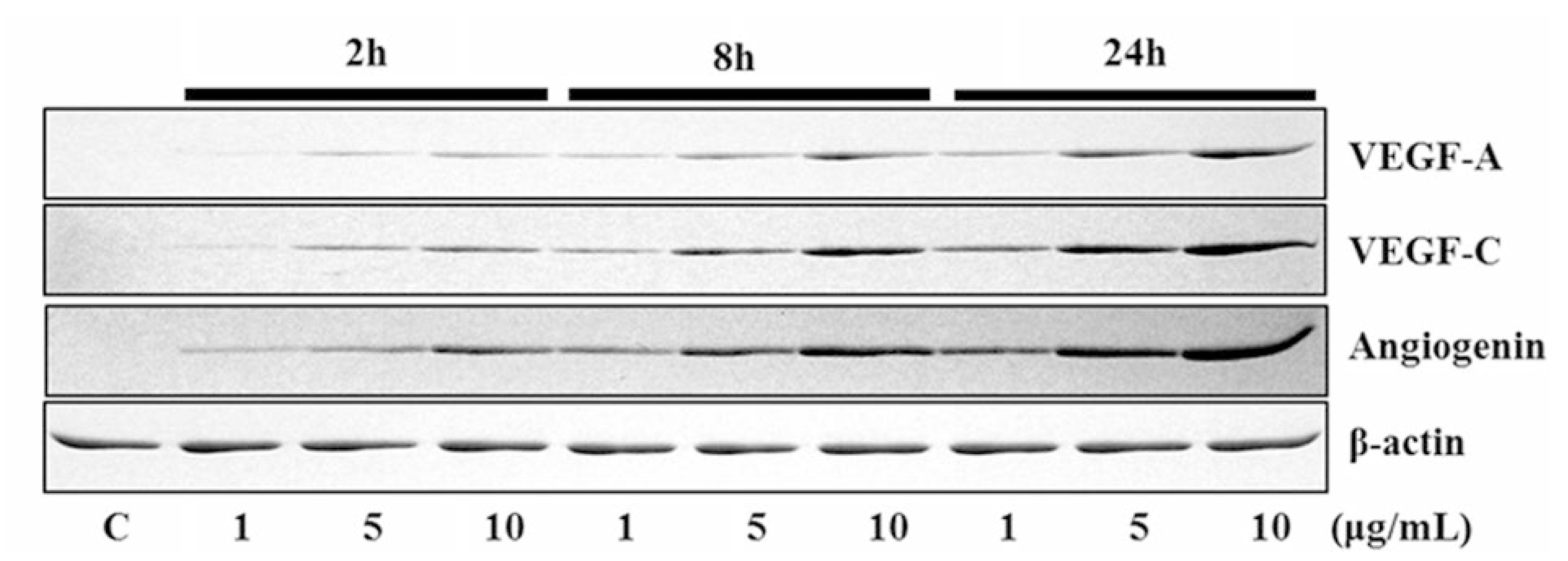 Applied Sciences Free FullText Role of 4Hexylresorcinol in the