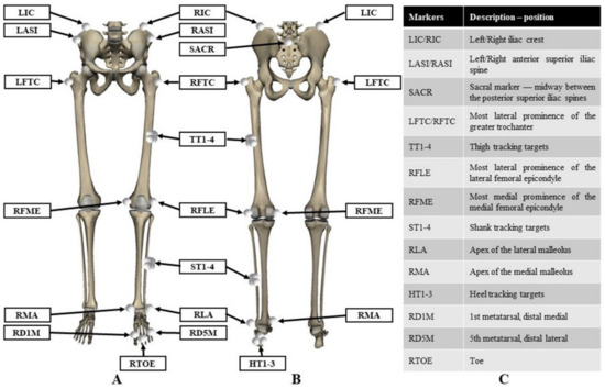 Applied Sciences | Free Full-Text | A Comparative Biomechanical ...