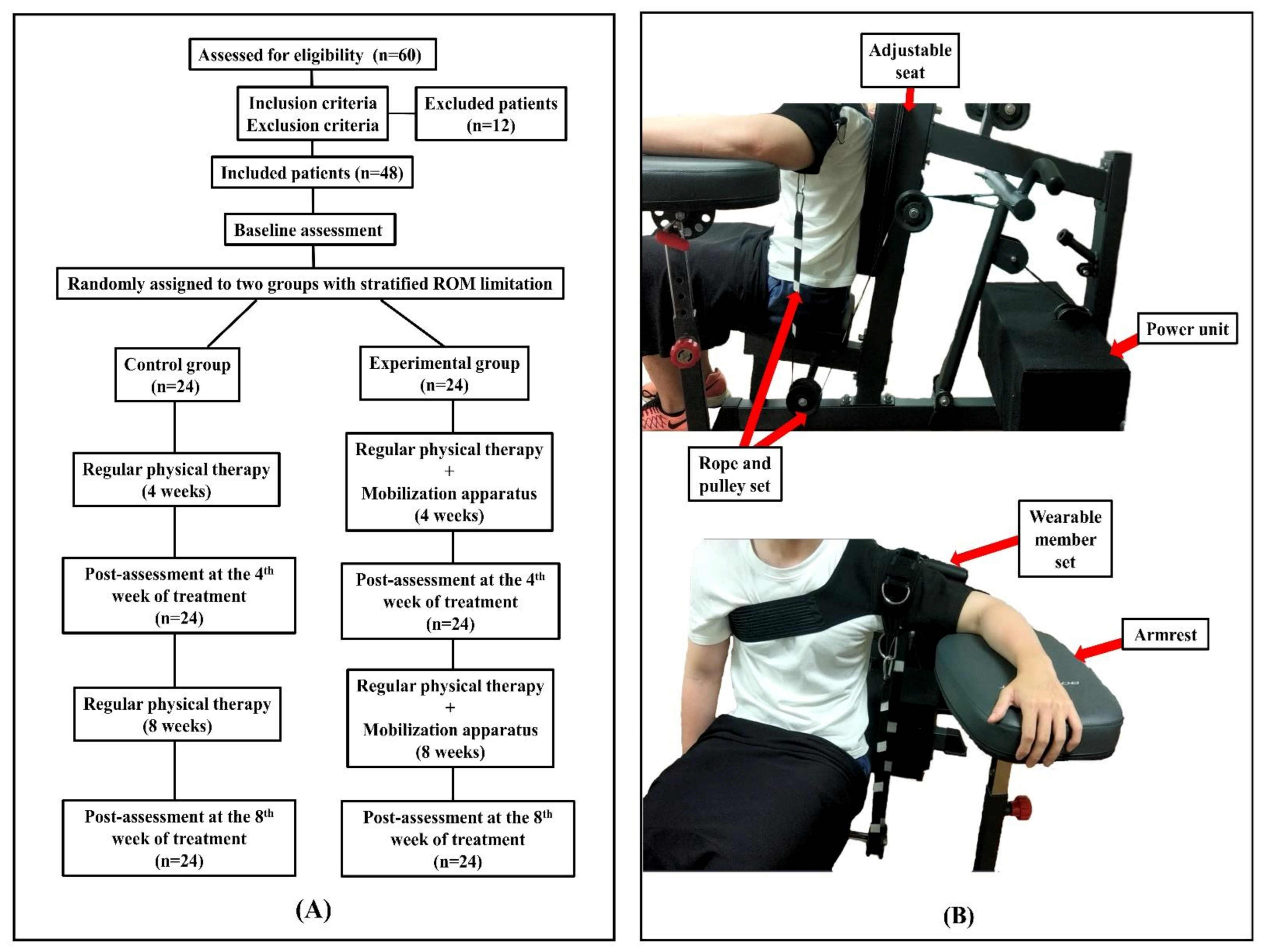 Stretching positions for the coracohumeral ligament: Strain measurement  during passive motion using fresh/frozen cadaver shoulders, BMC Sports  Science, Medicine and Rehabilitation
