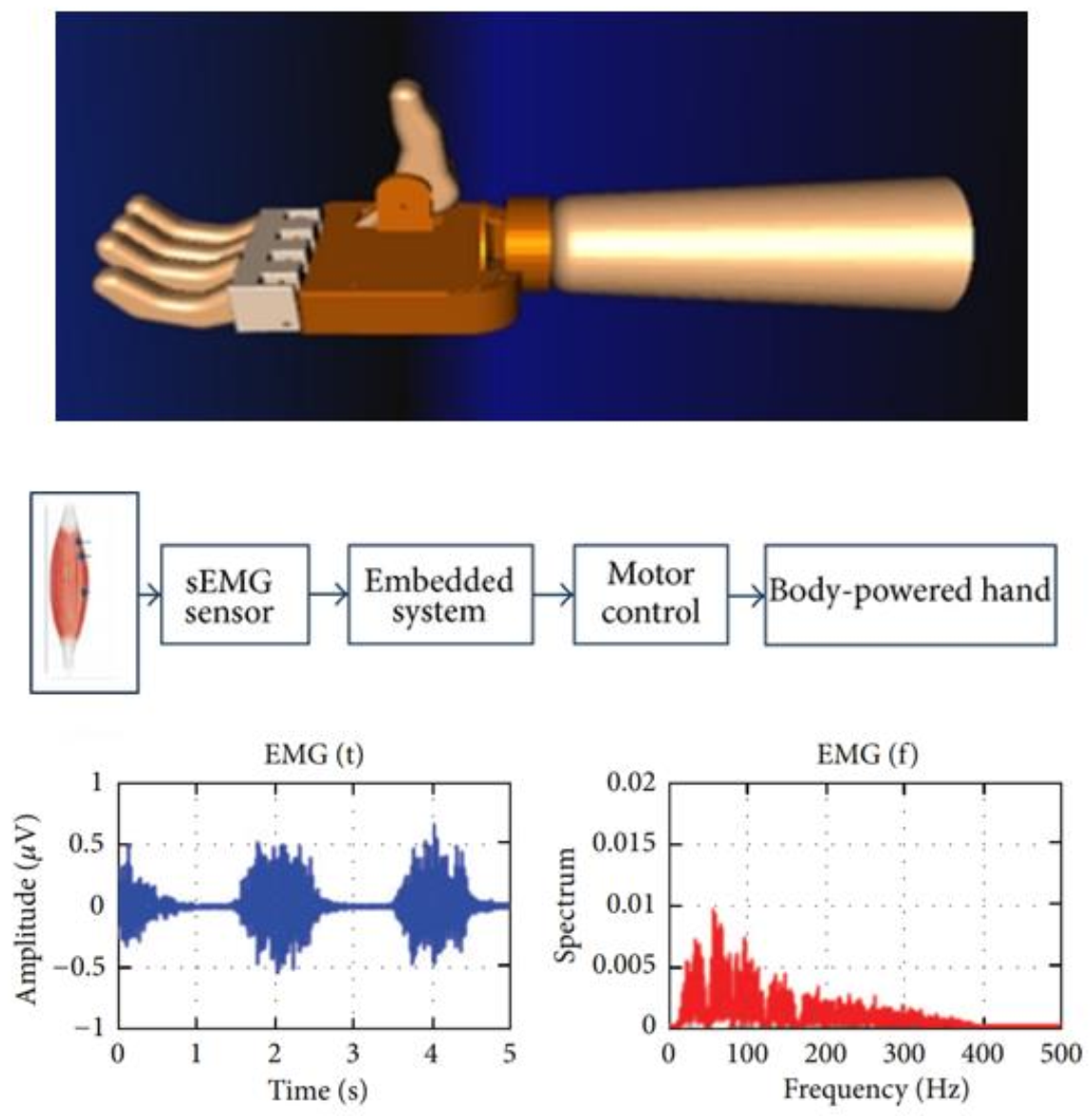 Prosthetic Limbs Myoelectric Control with Three Degrees of Freedom