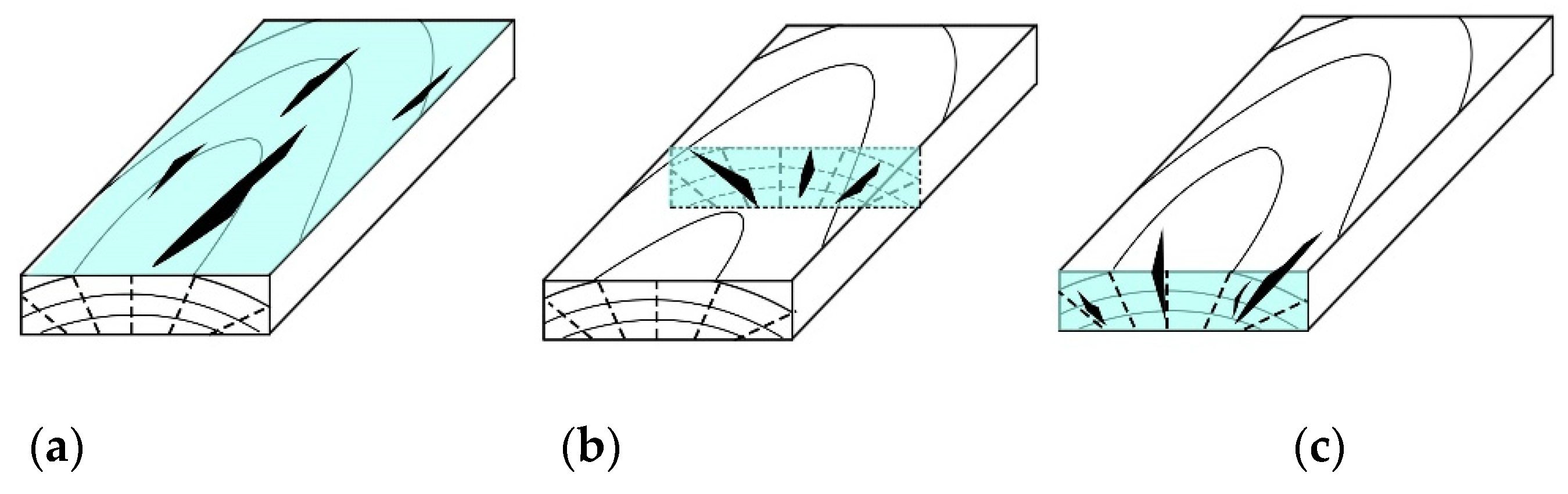 applied-sciences-free-full-text-drying-stress-and-strain-of-wood-a