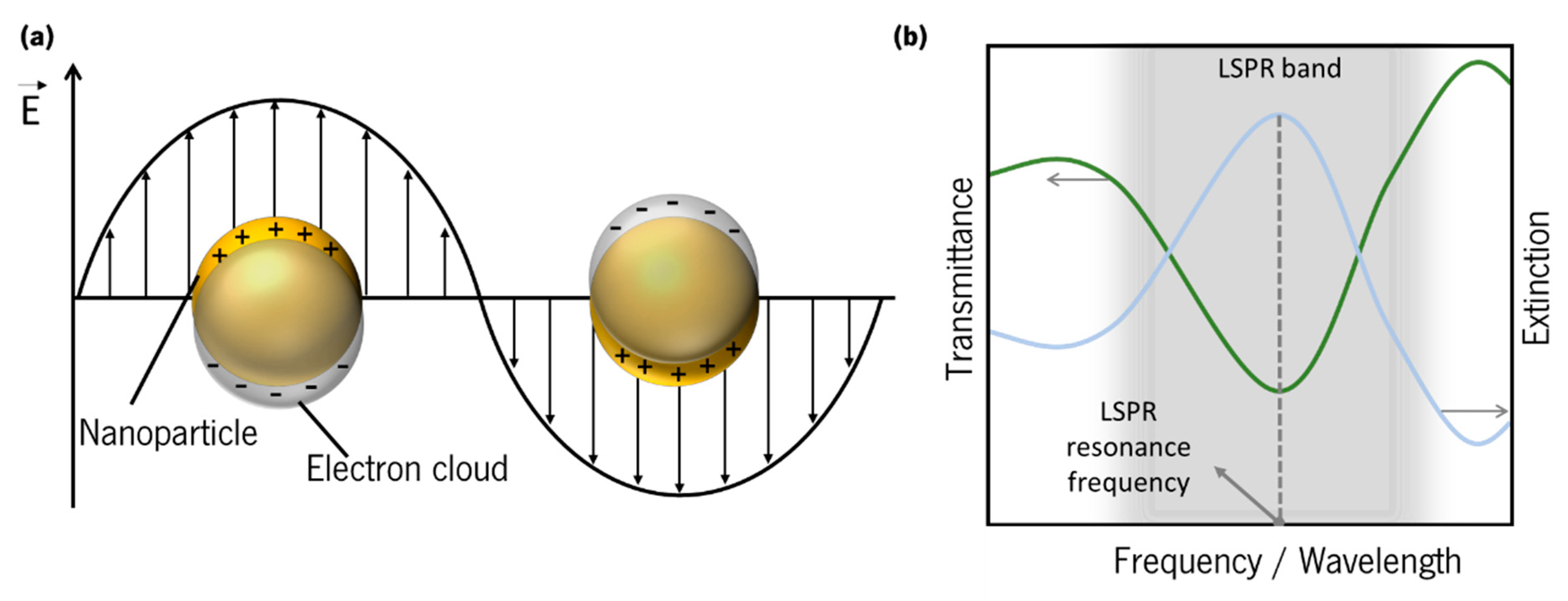 Surface Plasmon Resonance Gold Nanoparticles Theory At Linda Olson Blog Surface Plasmon Resonance Gold Nanoparticles Theory At Linda Olson Blog