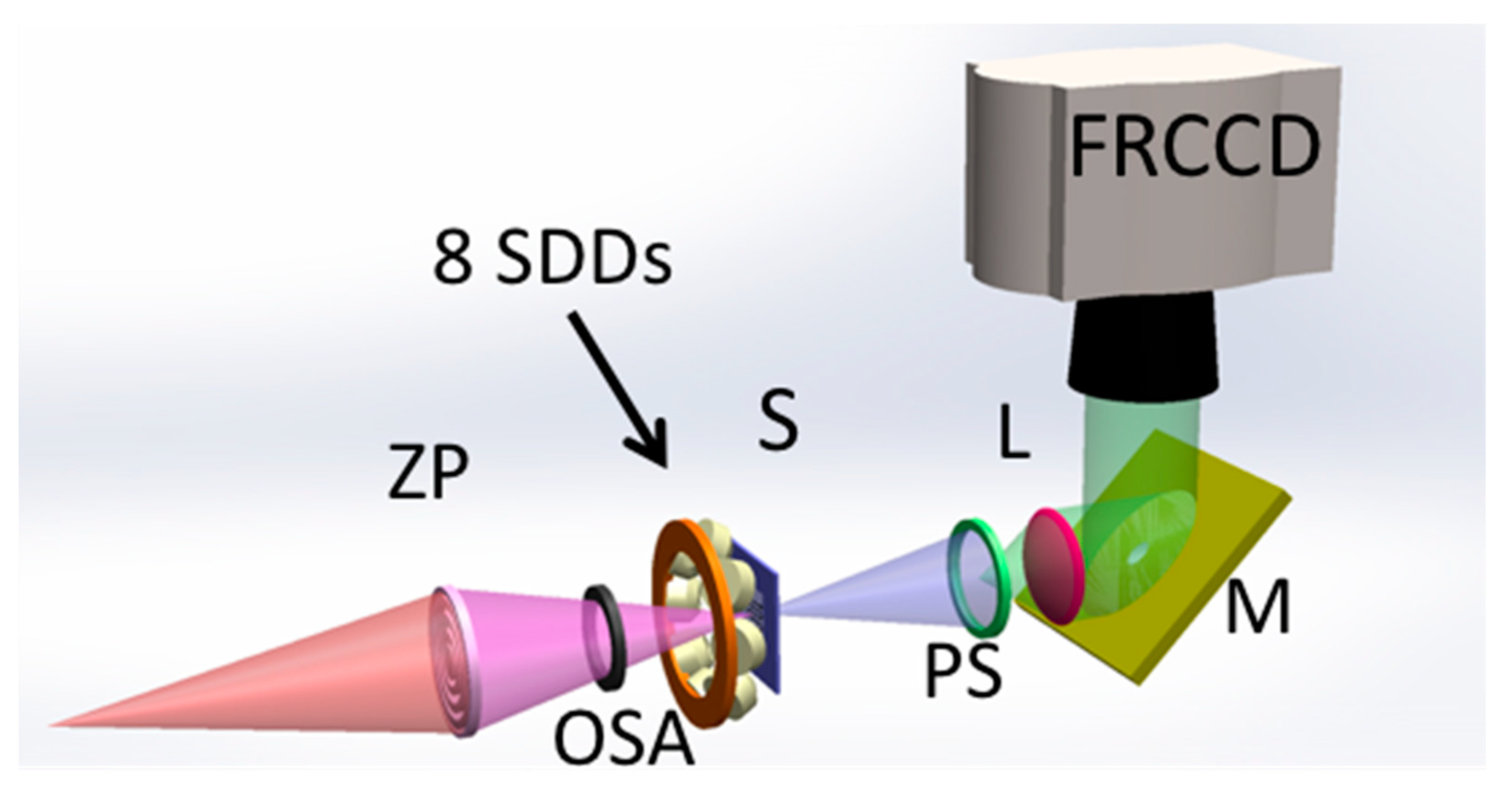 Zamboni Fixative for Light & Electron Microscopy Applications