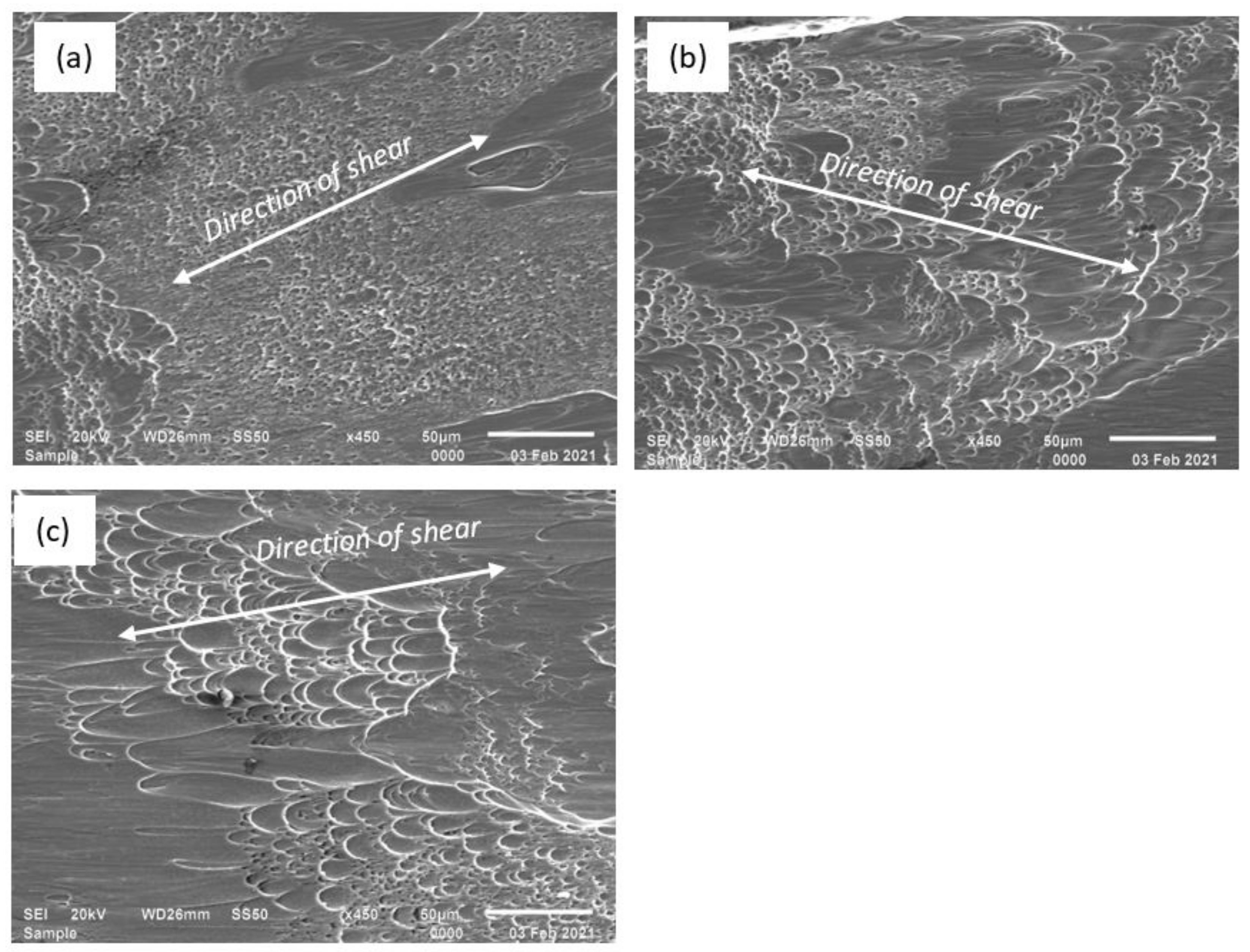 SEM images of: (a) polished and etched brass sample, (b) fractured