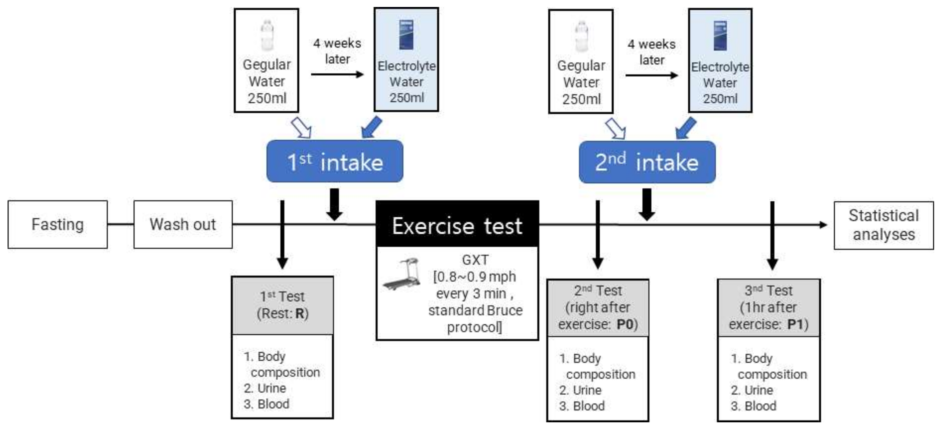 II. Understanding Electrolytes and their Role in the Body