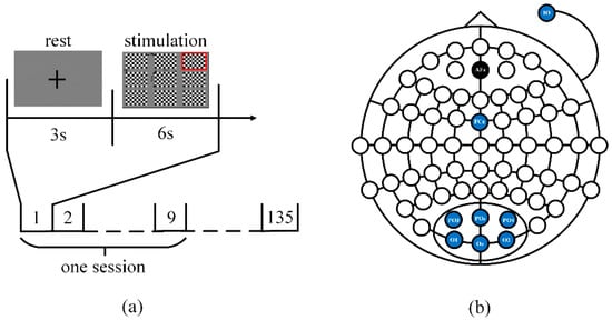 Improvement of the Classification Accuracy of Steady-State Visual ...