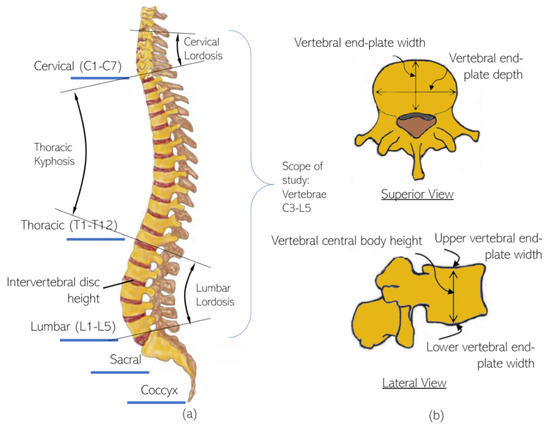 Applied Sciences | Free Full-Text | Multi-Directional Shape Change ...