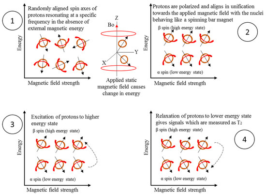 Applied Sciences | Free Full-Text | A Novel Empirical and Deep Ensemble ...