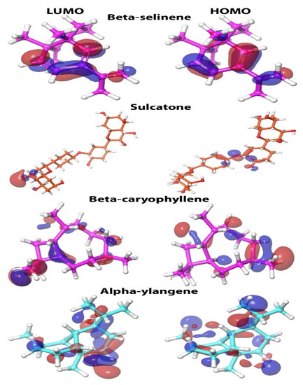 Applied Sciences | Special Issue : Antibacterial Activity Of Plant Extracts