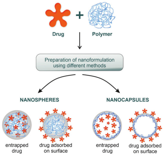 Polymeric Nanoparticles Tools In A Drug Delivery System In Selected Polymeric Nanoparticles Tools In A Drug Delivery System In Selected