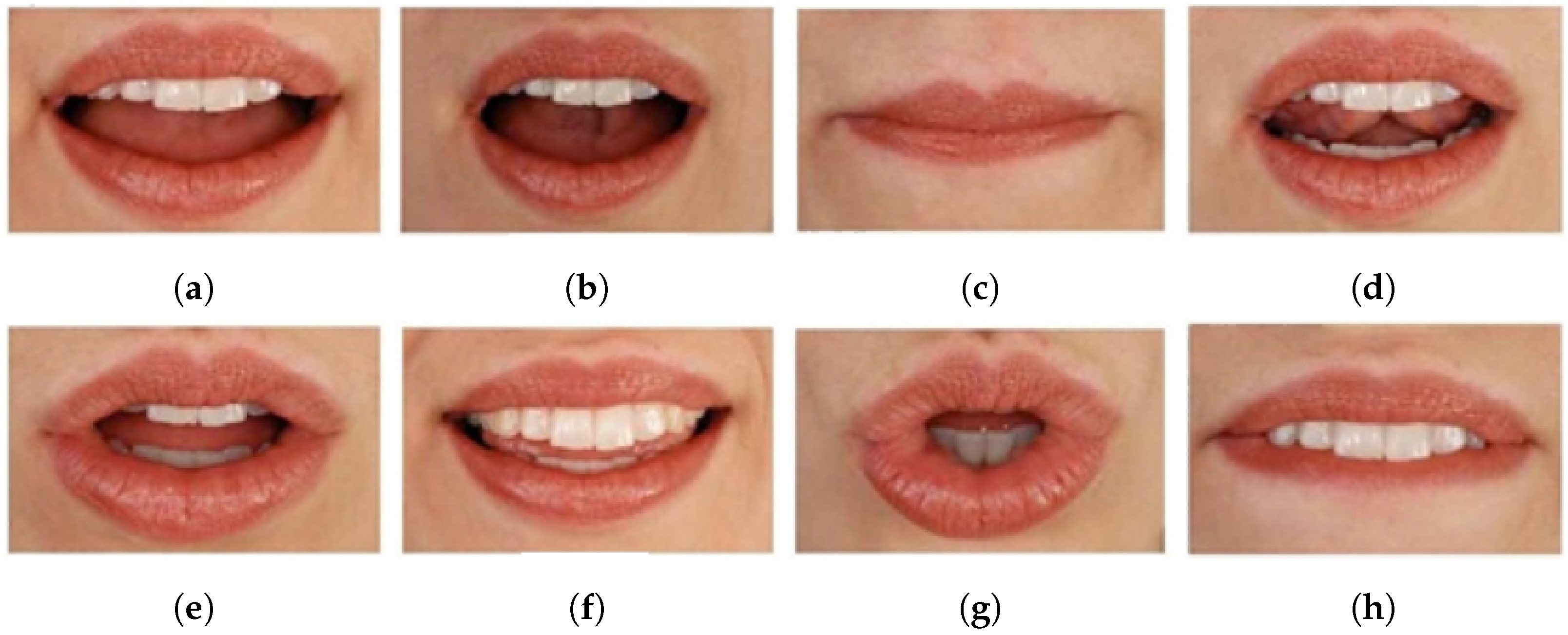 Applied Sciences | Free Full-Text | Diverse Pose Lip-Reading Framework