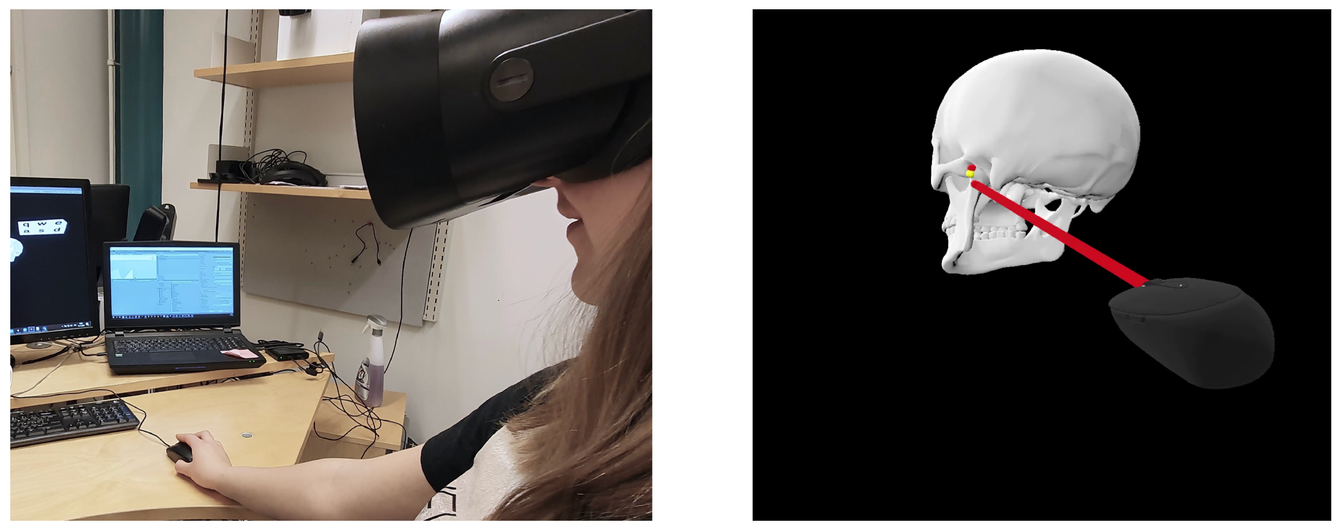 VR Goggles for Mice Enhance Behavioral Research