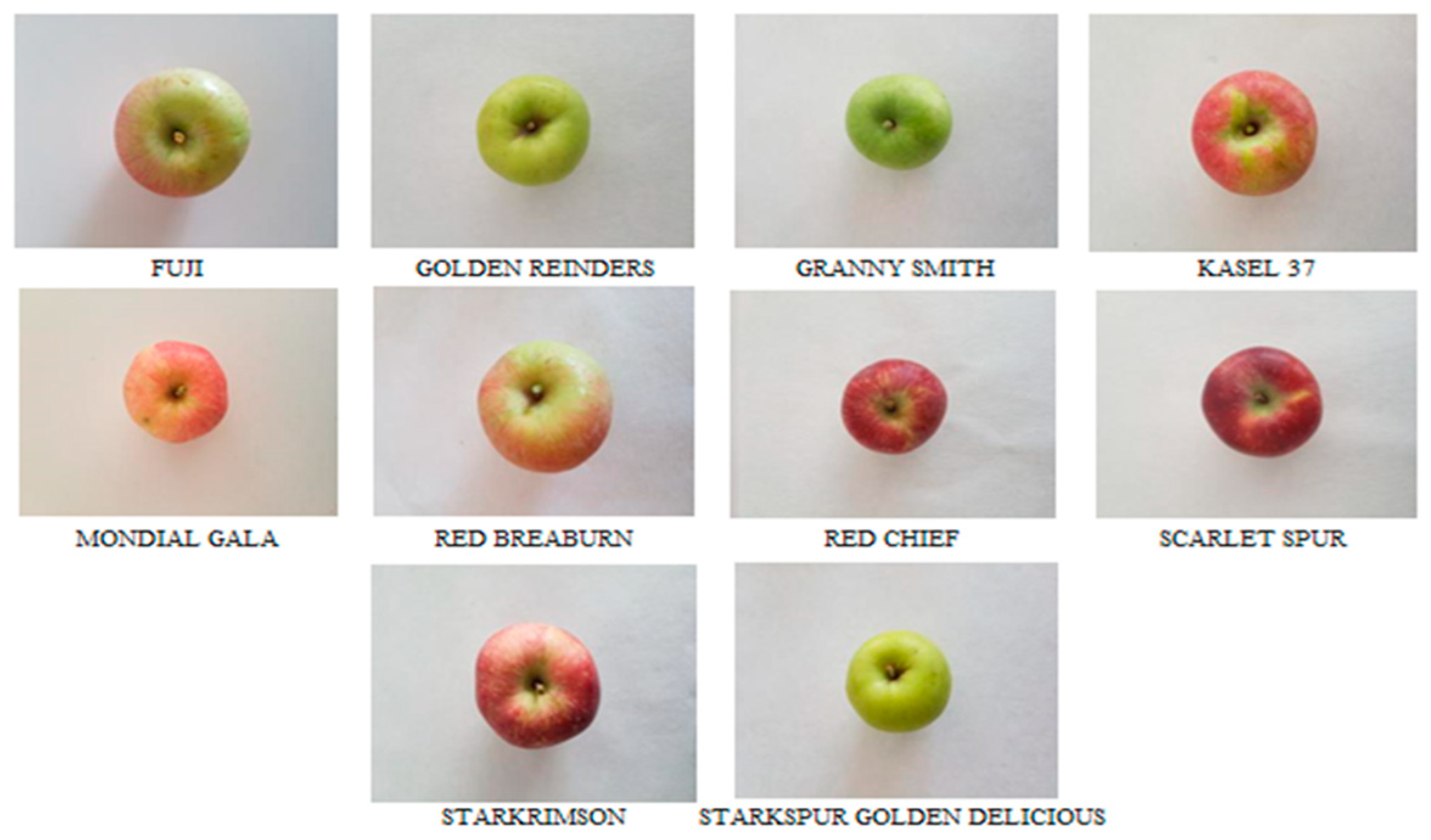 Multiclass Apple Varieties Classification Using Machine Learning with ...