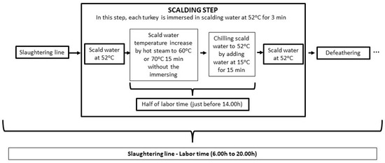 Monitoring Hygienic Measures for Decreasing Salmonella Occurrence 