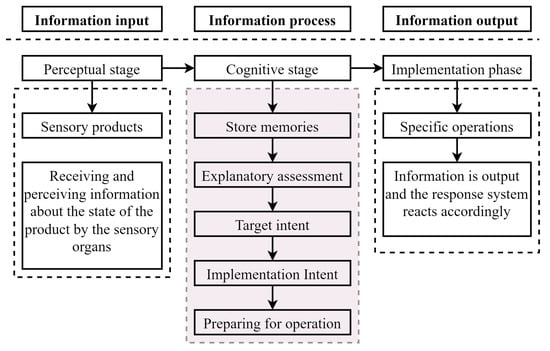 Information process model with reference to cognitive development hot sale