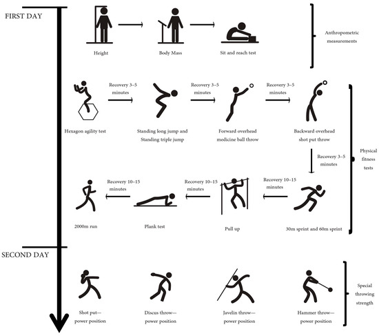 The Dynamic Warm-up revolution - Discover Movement - Athletic