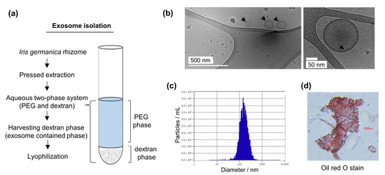 Applied Sciences | Free Full-Text | Protective Effect of Iris germanica