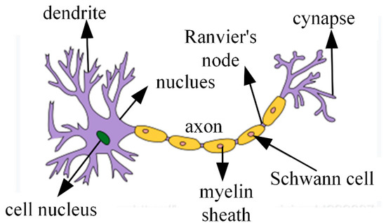 Applied Sciences | Free Full-Text | Application of a Deep Learning ...