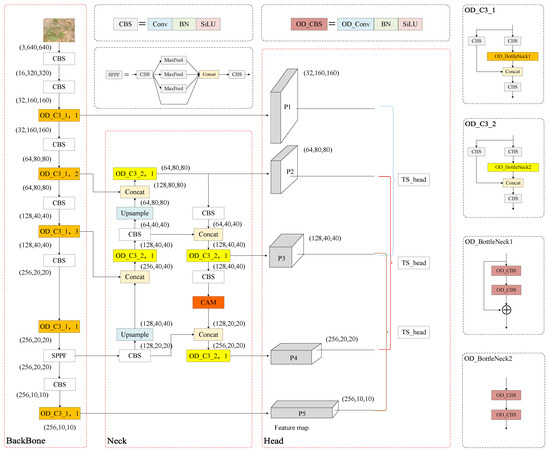 Applied Sciences | Free Full-Text | CGT-YOLOv5n: A Precision Model for ...