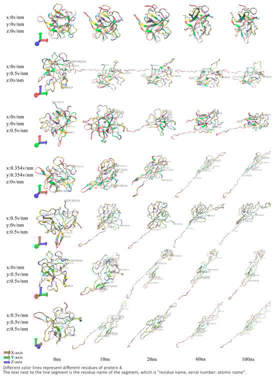 Molecular Study on Conformational Changes in Trypsin