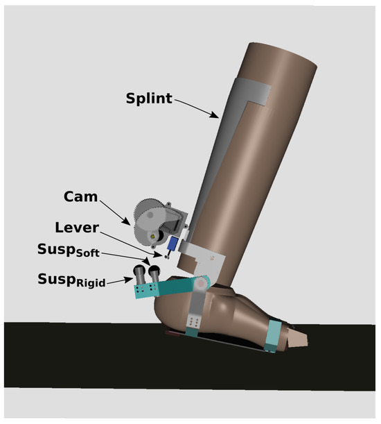Active Ankle–Foot Orthosis Design and Computer Simulation with Multi ...