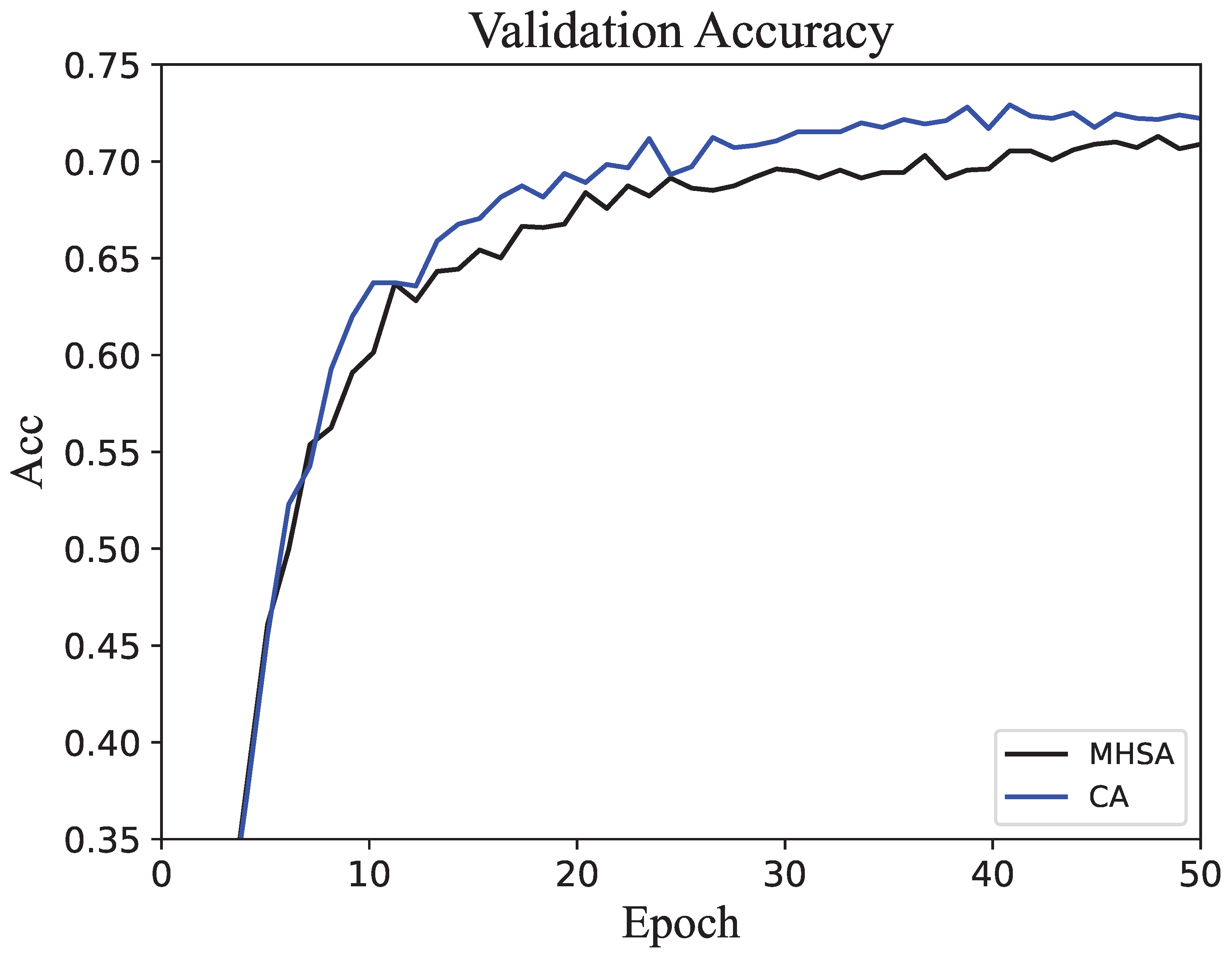 Concatenated Attention: A Novel Method For Regulating Information 