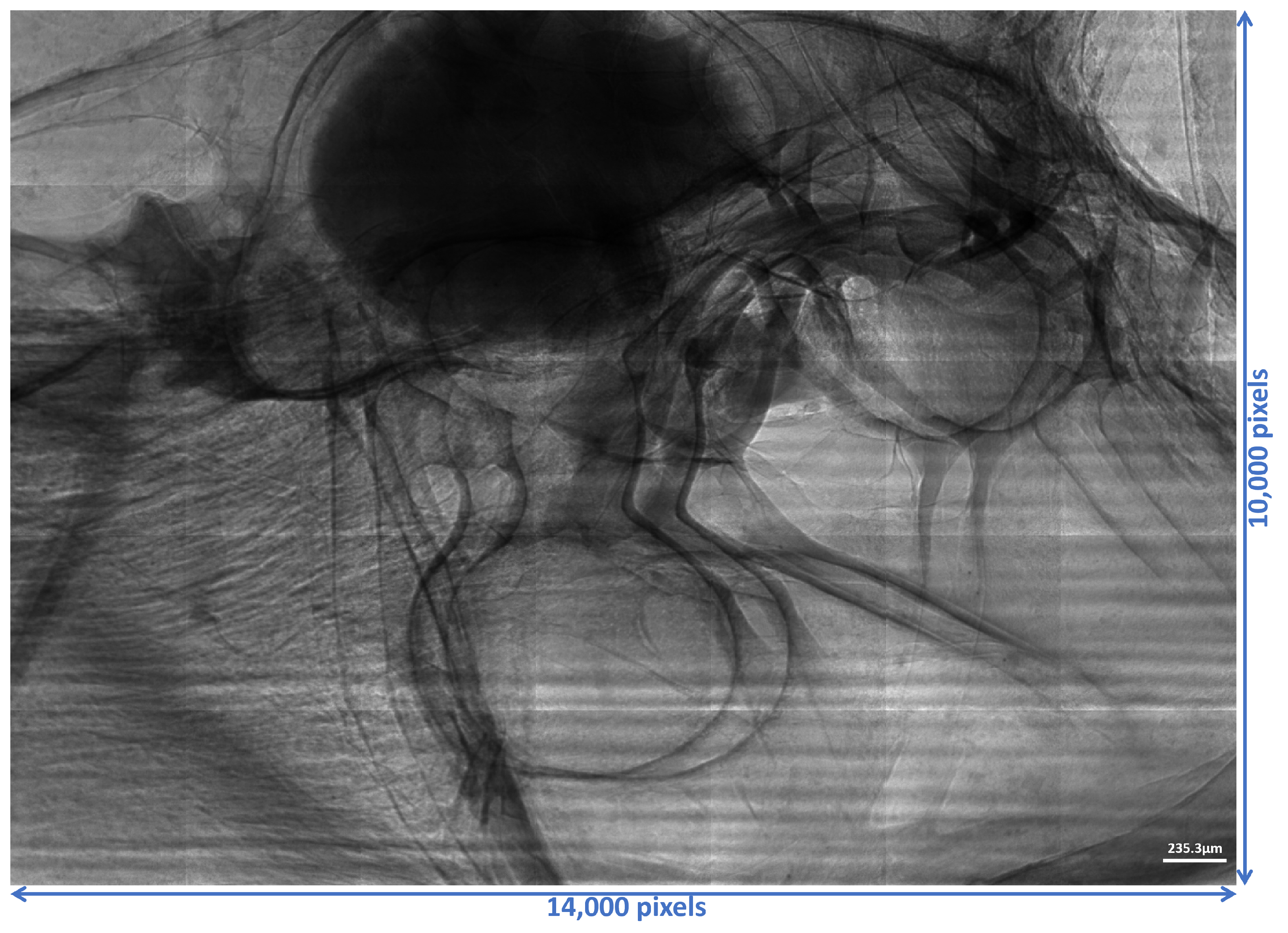 Parallel Ghost Imaging with Extra Large Field of View and High Pixel ...