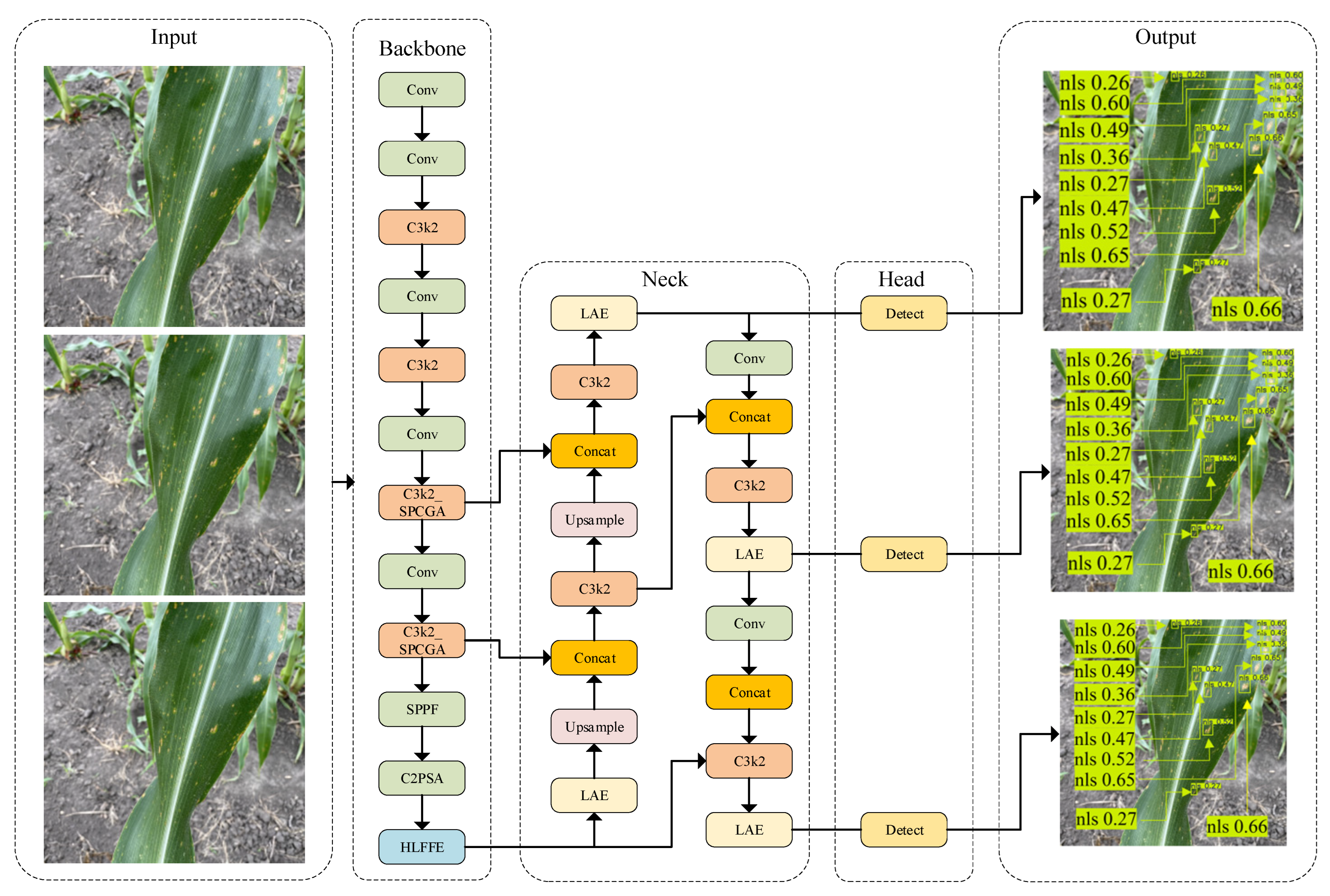 BCS_YOLO: Research on Corn Leaf Disease and Pest Detection Based on ...