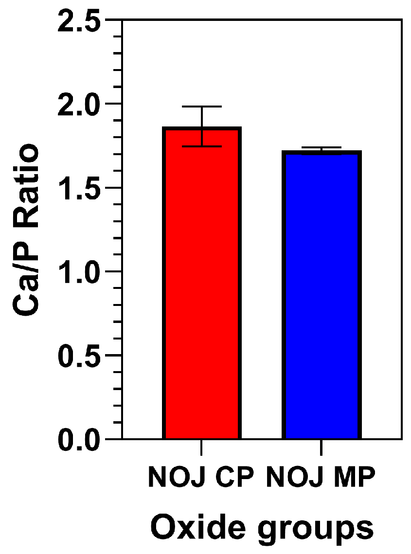 nonn！ Chatter Box! Accessories CB Audio Cord (MISC-1) | eBay