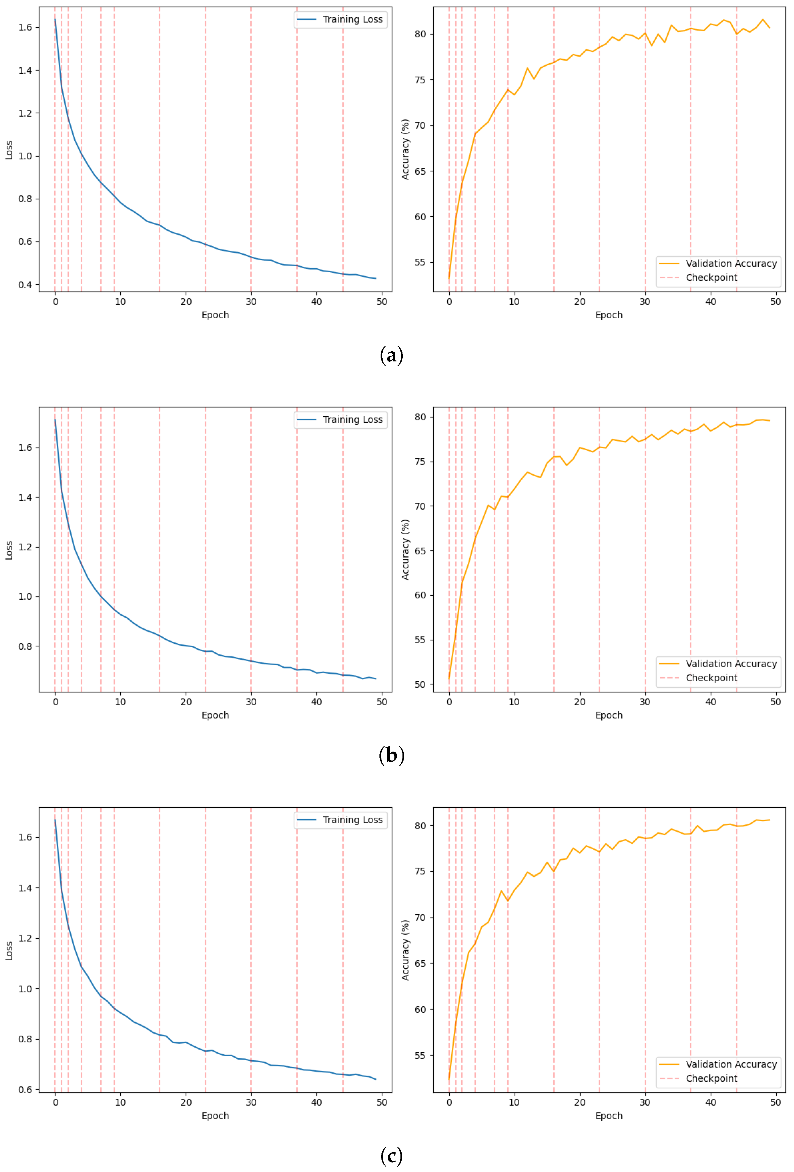 Complex Network Analytics for Structural–Functional Decoding of Neural ...