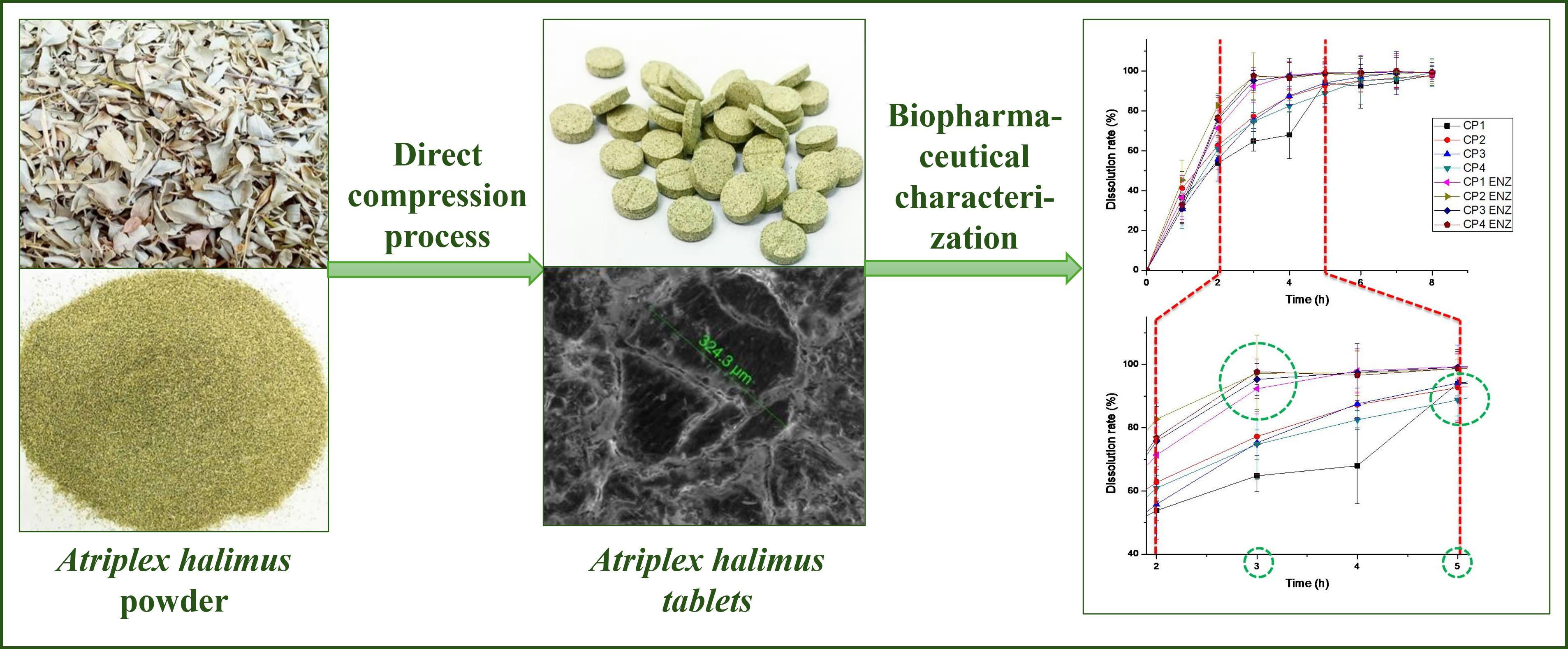 Biopharmaceutical and Pharmacotechnical Characterization of Plant ...