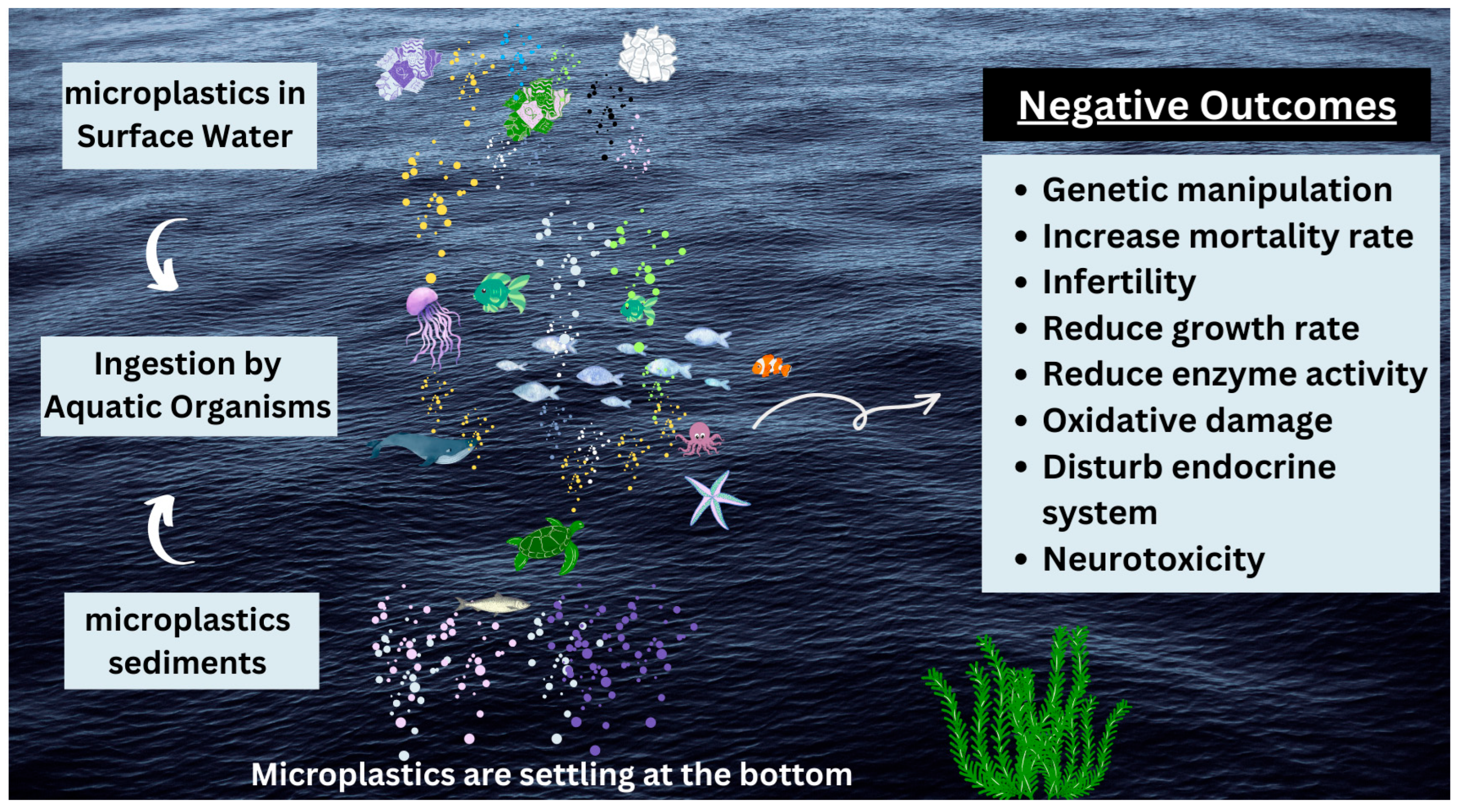 Plastic Waste to Microplastic Pollution and Its Impacts: A ...