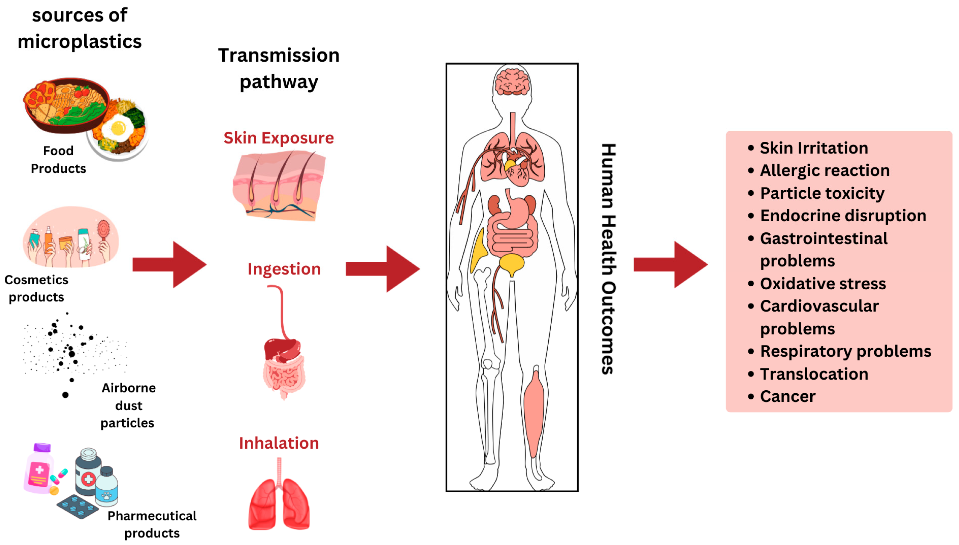 Plastic Waste to Microplastic Pollution and Its Impacts: A ...