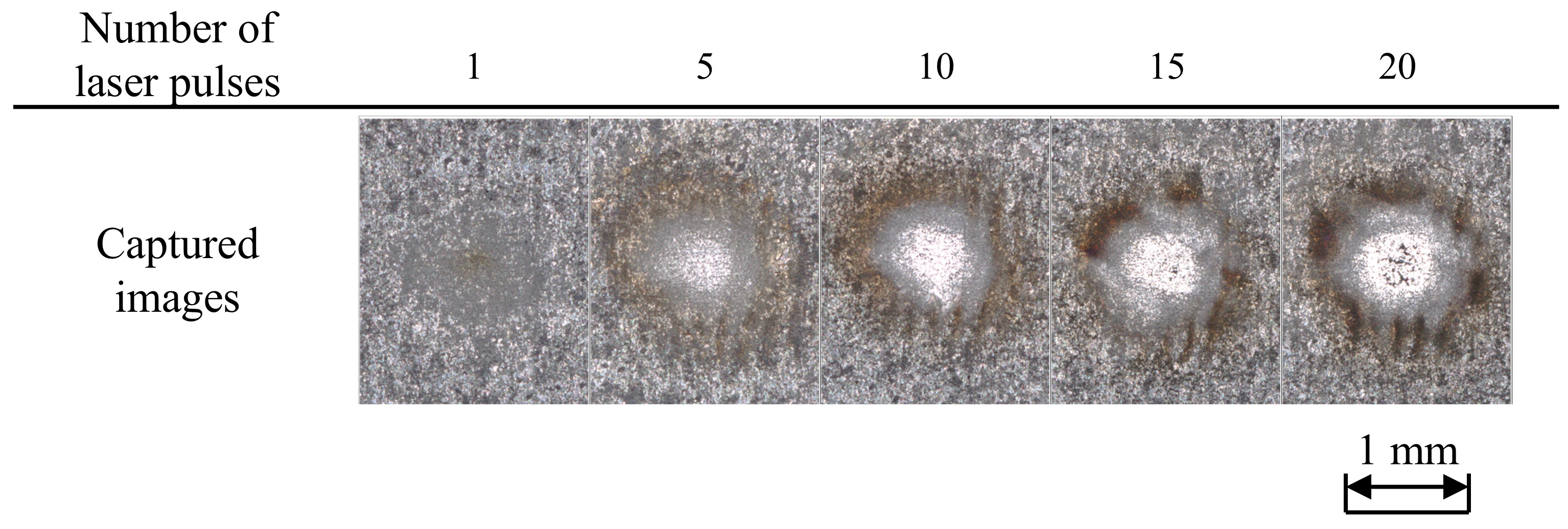 Development of Laser Ultrasonic Robotic System for In Situ Internal ...