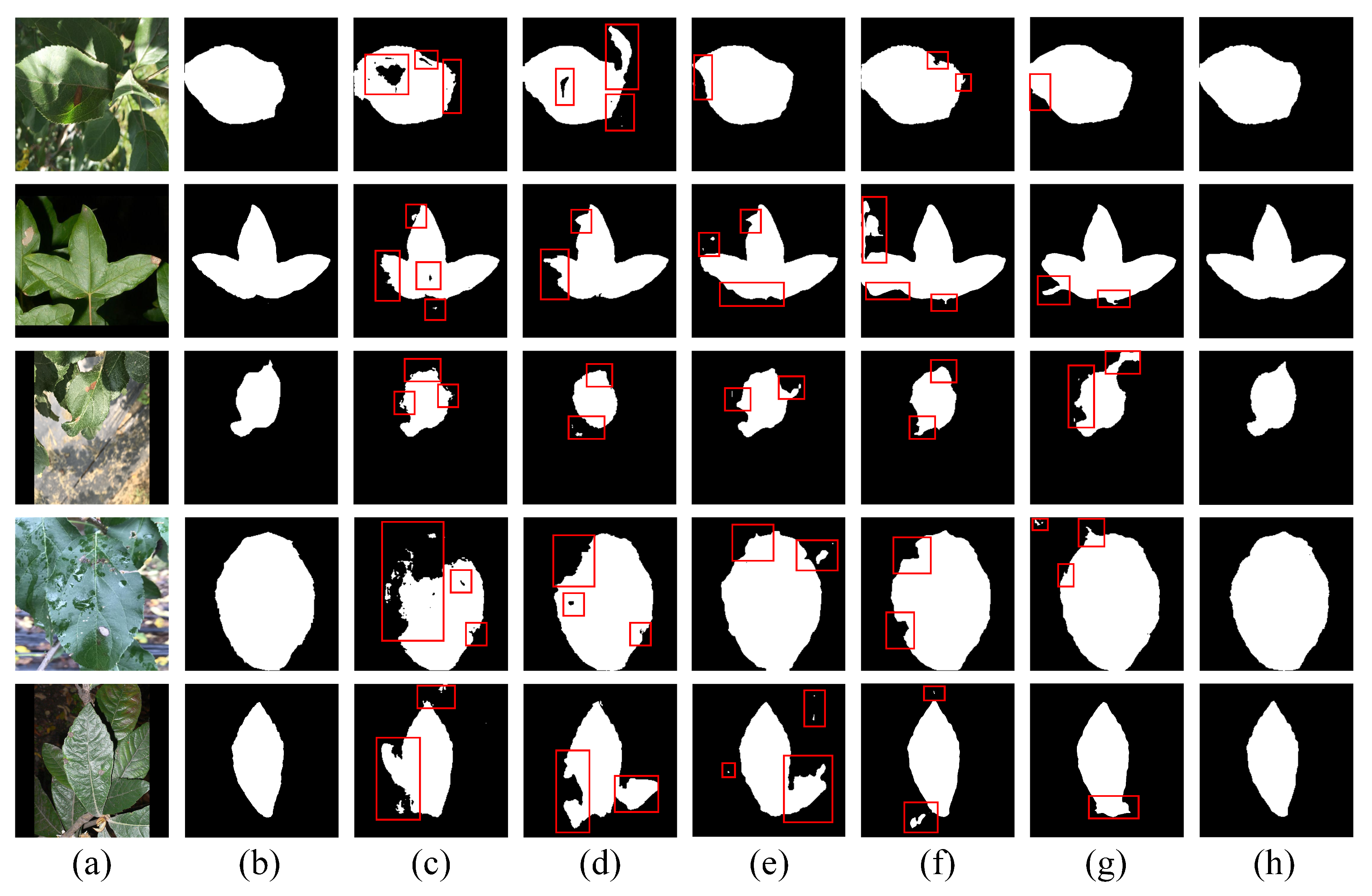 EHPNet: An Edge-Aware Method for Leaf Segmentation in Complex Field ...