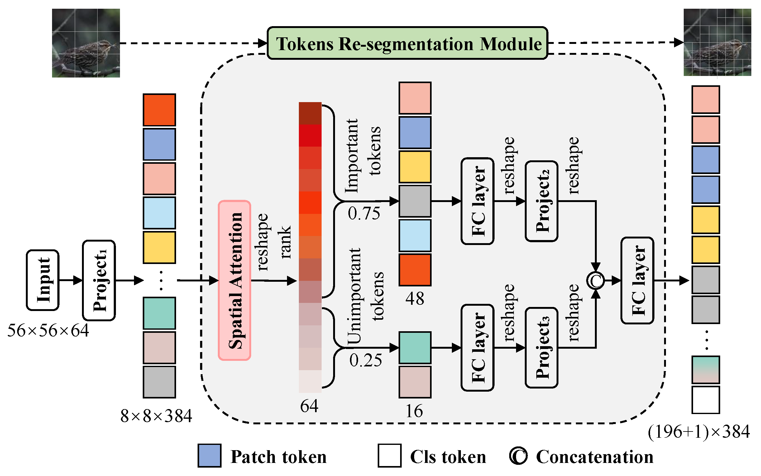 Dual-Task Learning for Fine-Grained Bird Species and Behavior ...
