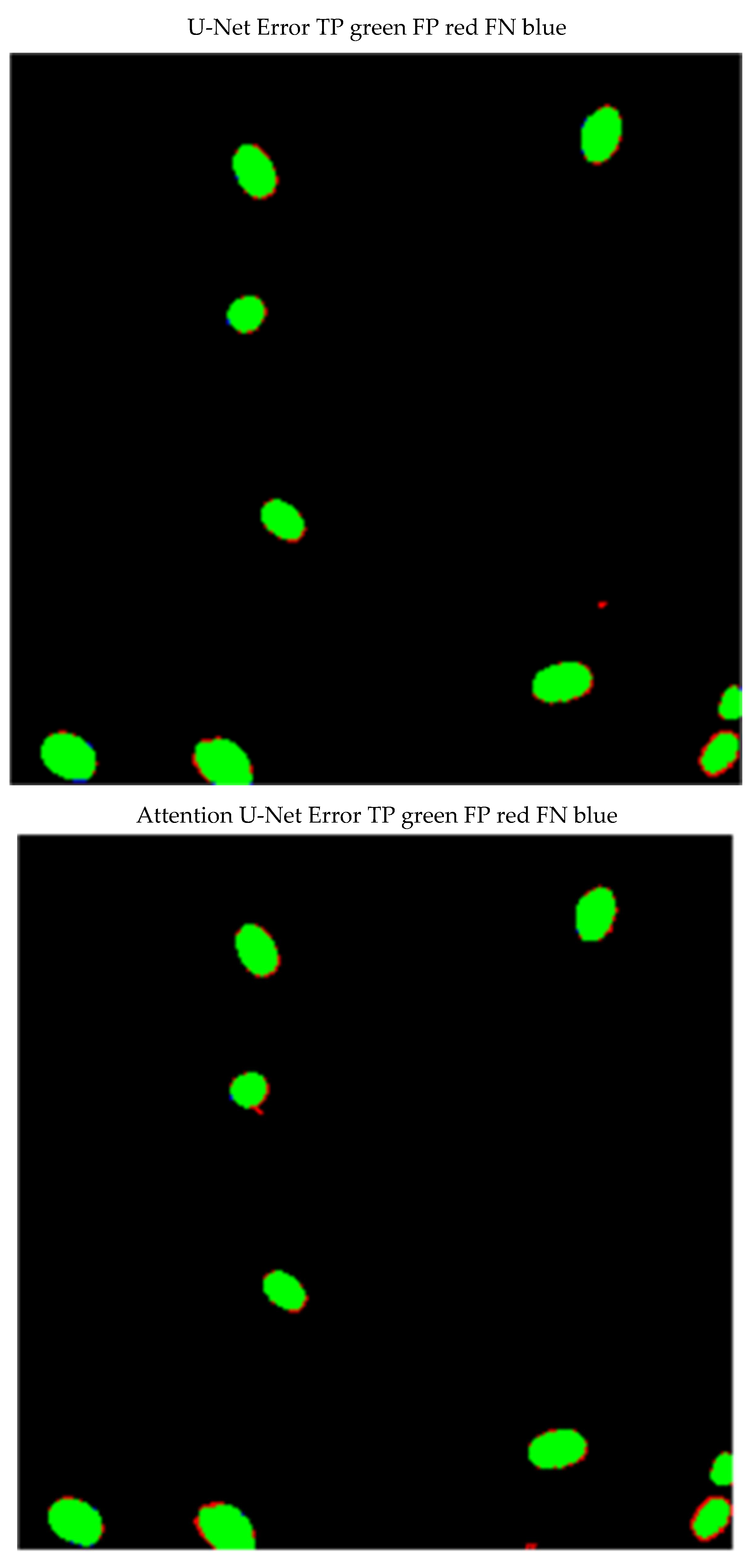 Clinically Interpretable Nuclei Segmentation for Robust ...