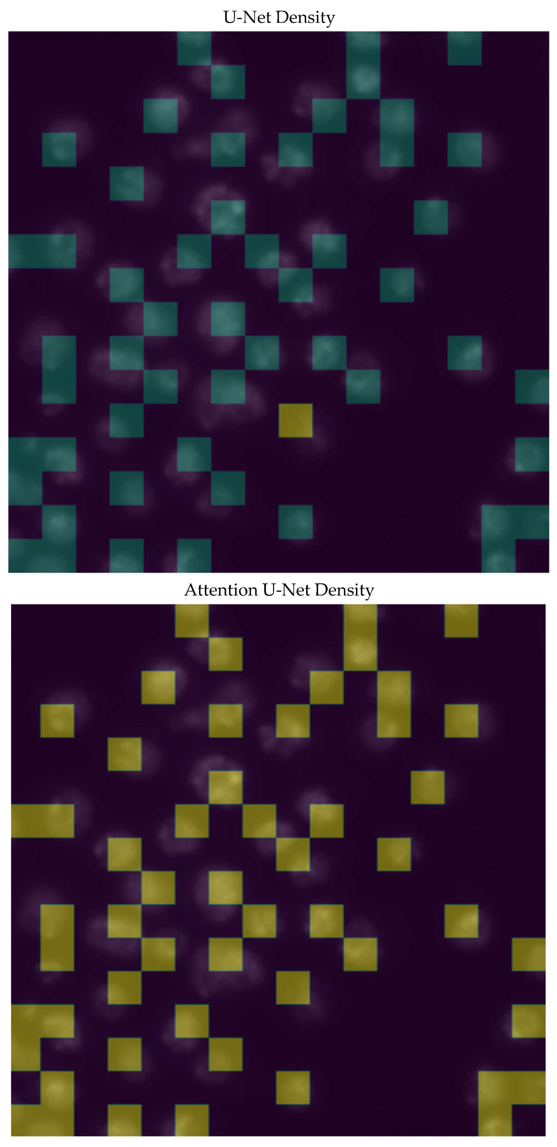 Clinically Interpretable Nuclei Segmentation for Robust ...