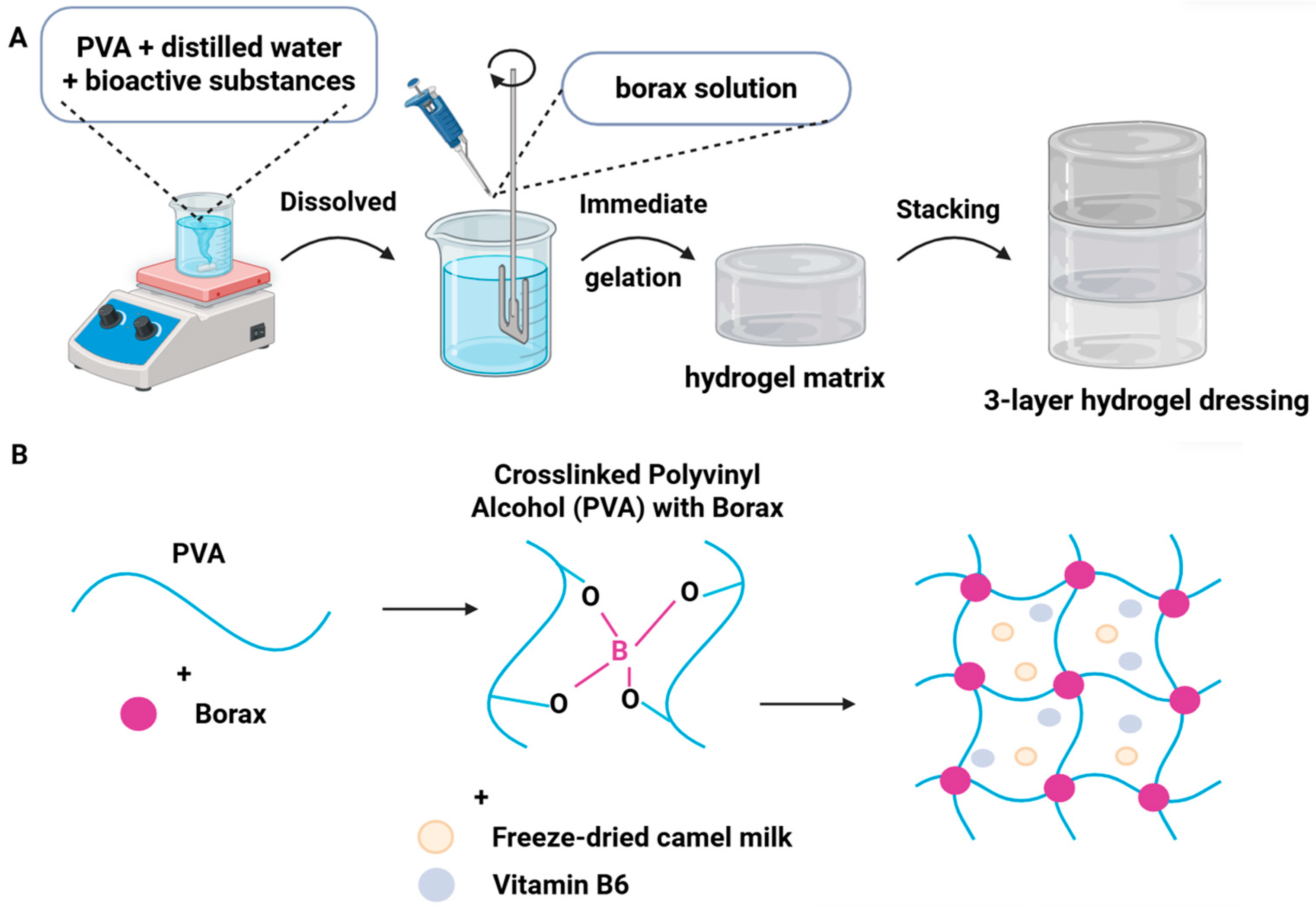 Preparation and Characterization of an Antibacterial Hydrogel Dressing ...