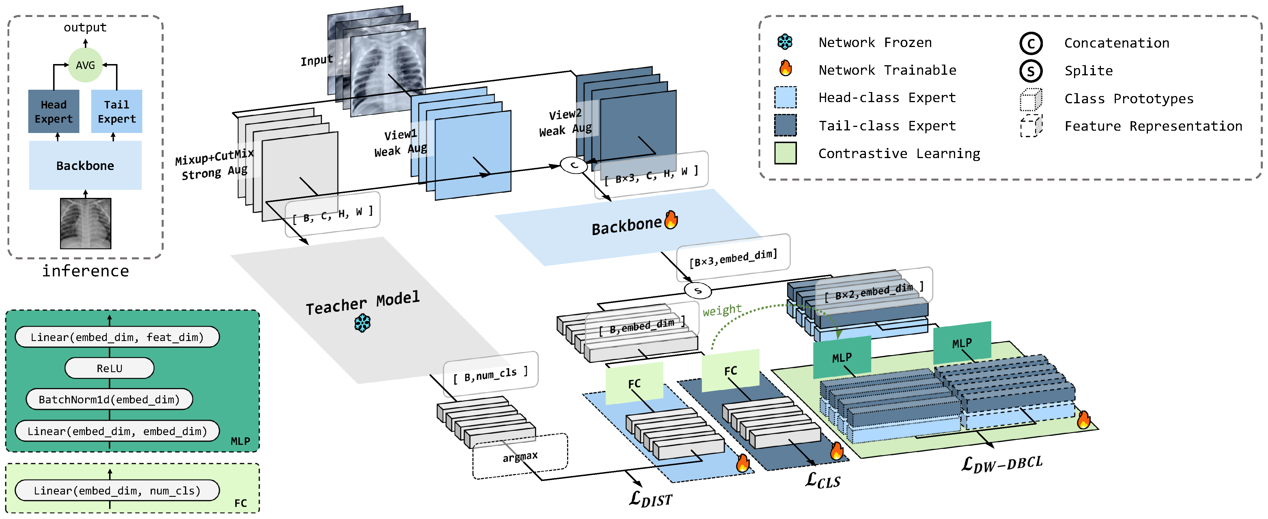 A Unified Complementary Regularization Framework for Long-Tailed Image ...