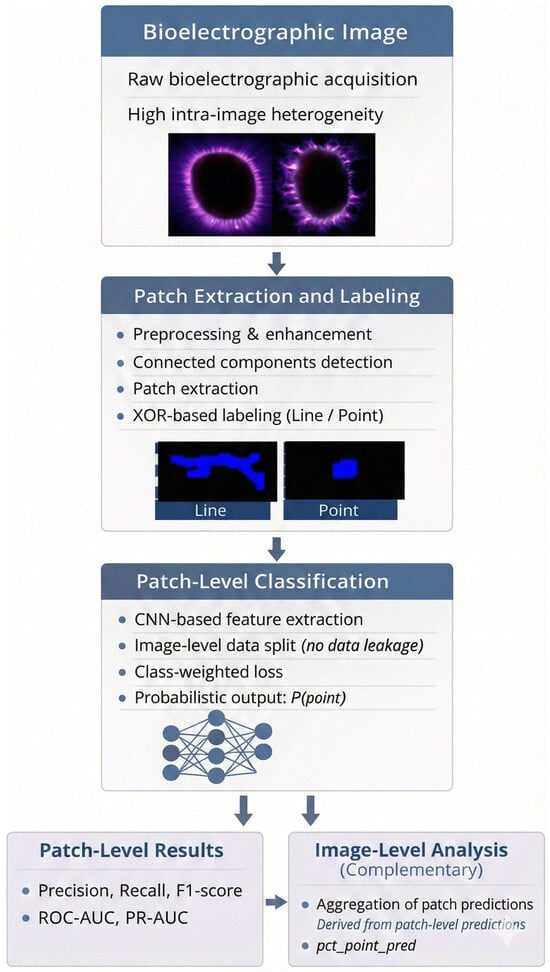 Patch Based Image Processing A Patch-Based Computational Framework for the Analysis of Structurally ...