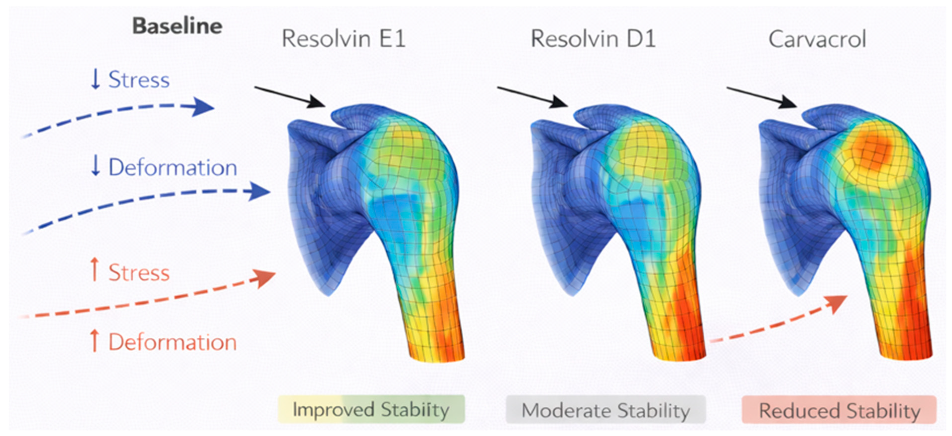 Resolvin E1, Resolvin D1 and Carvacrol in Rotator Cuff Tears: Pro ...