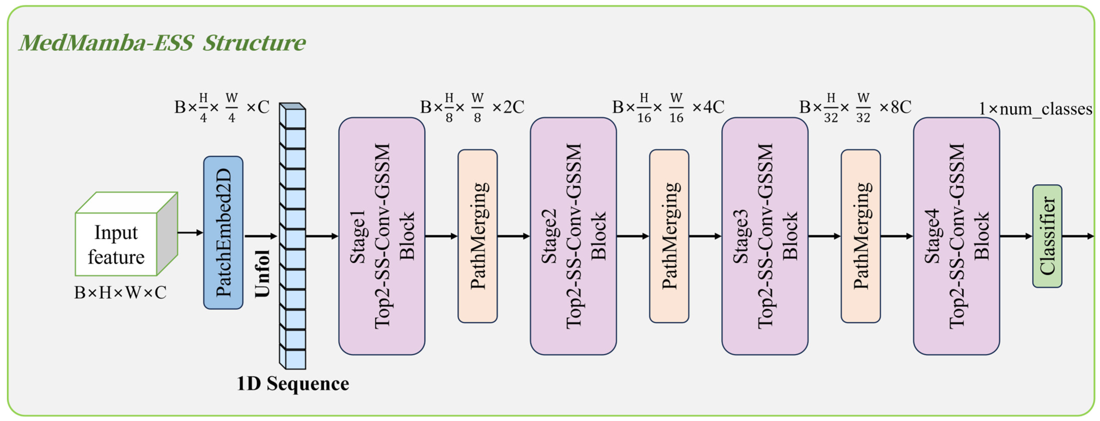 MedMamba-ESS: A Generalizable State Space Framework for Clinical Image ...