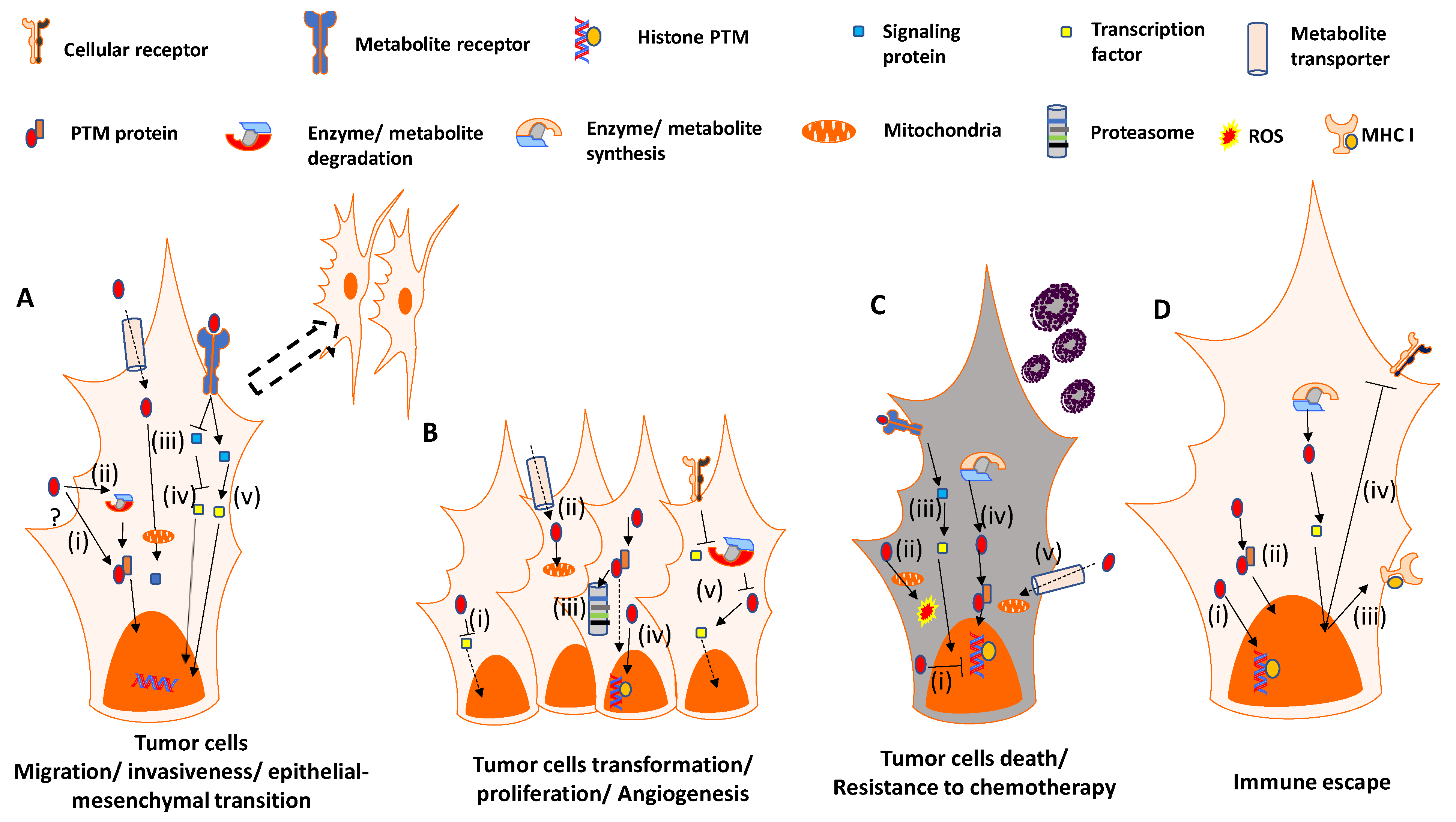 Molecular Targets for Cancer Immunotherapy: Focusing on (Immune and ...