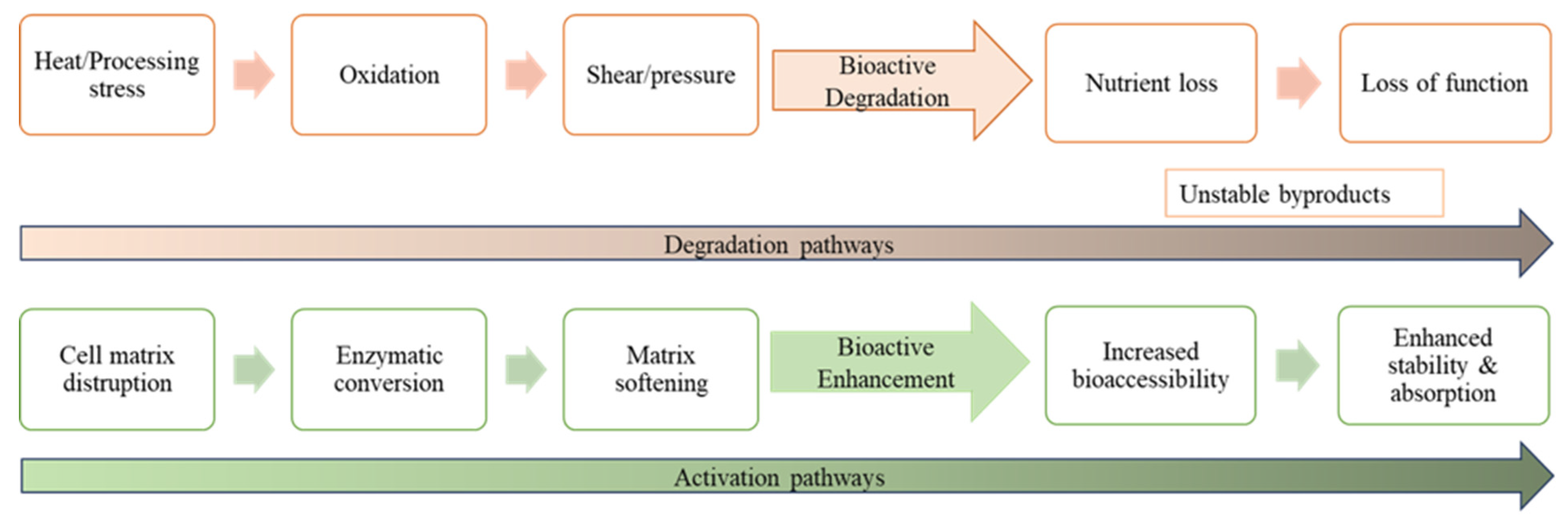 Designing Functional Foods Beyond Bioactivity: Integrating Processing ...