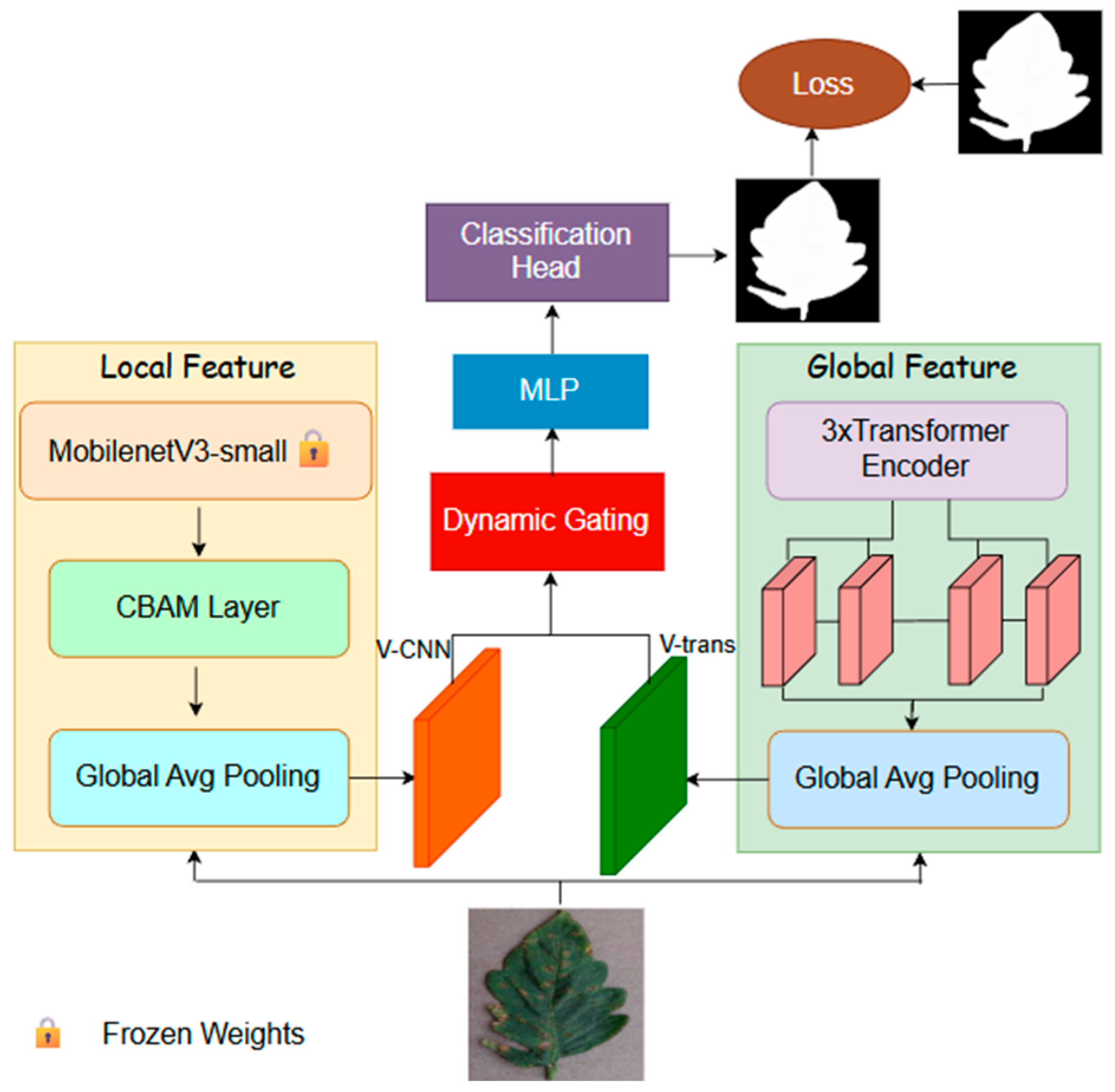 CE-Fusion Botanic: A Lightweight Leaf Disease Detection Model via ...