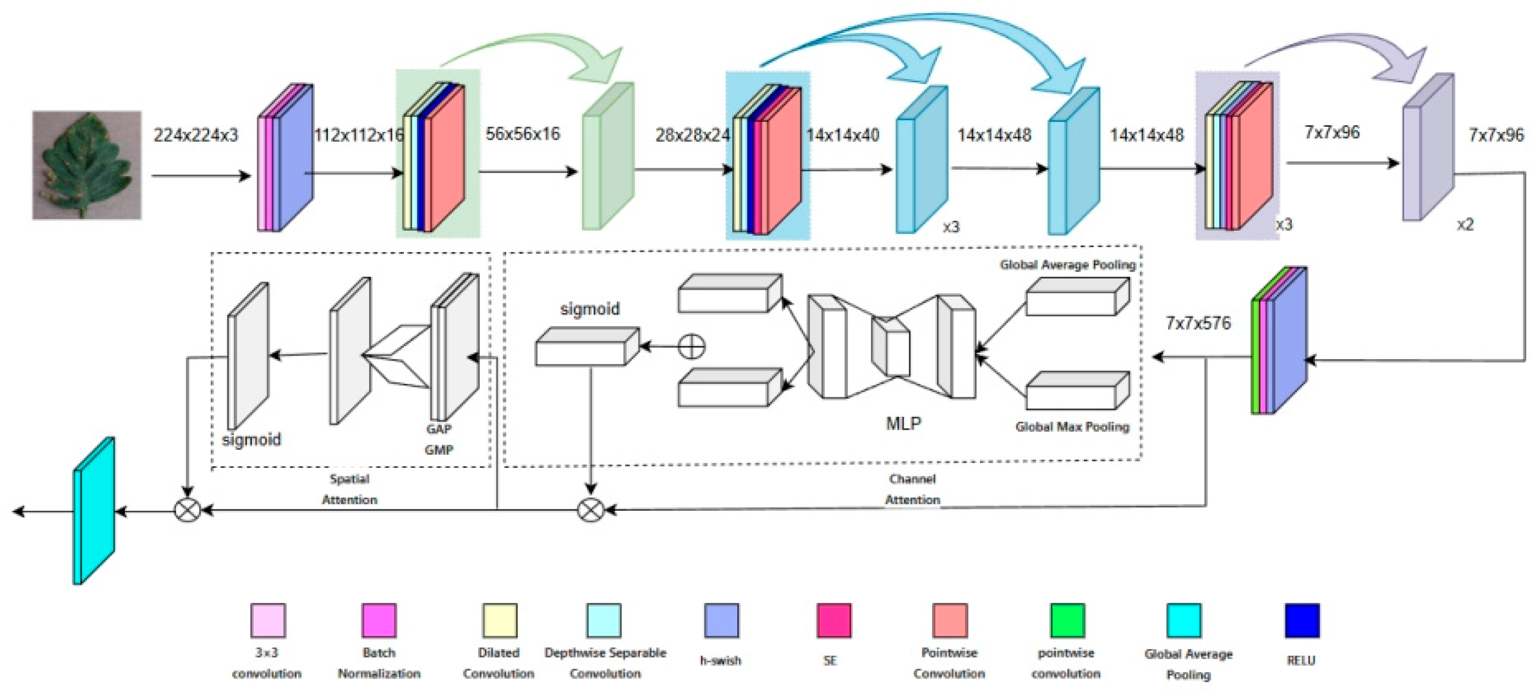 CE-Fusion Botanic: A Lightweight Leaf Disease Detection Model via ...