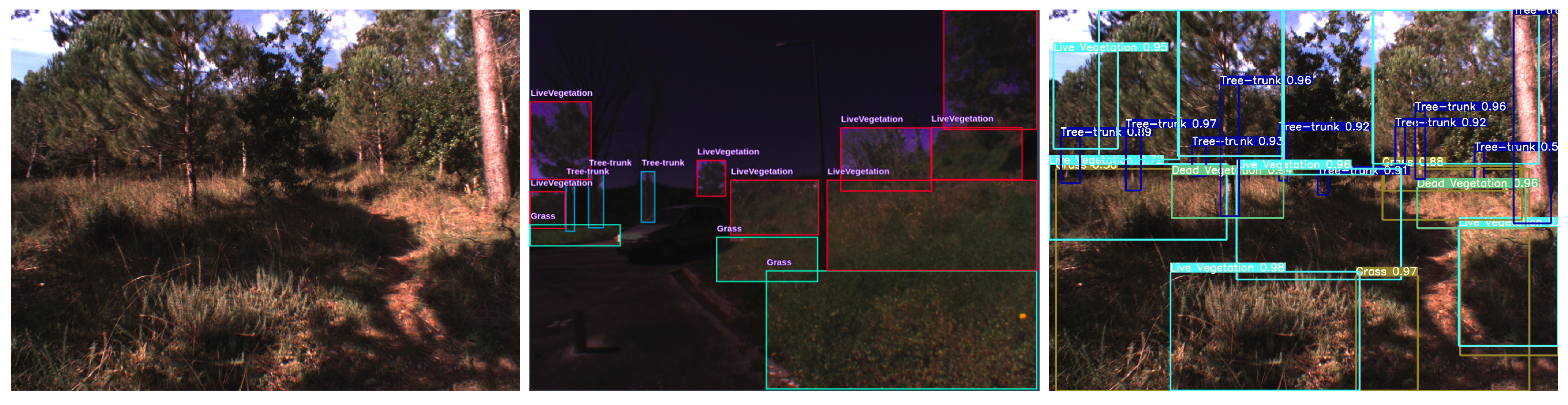 detecting trees with deepforest: a simple tutorial... Forest Vegetation 3D Localization Using Deep Learning Object Detectors