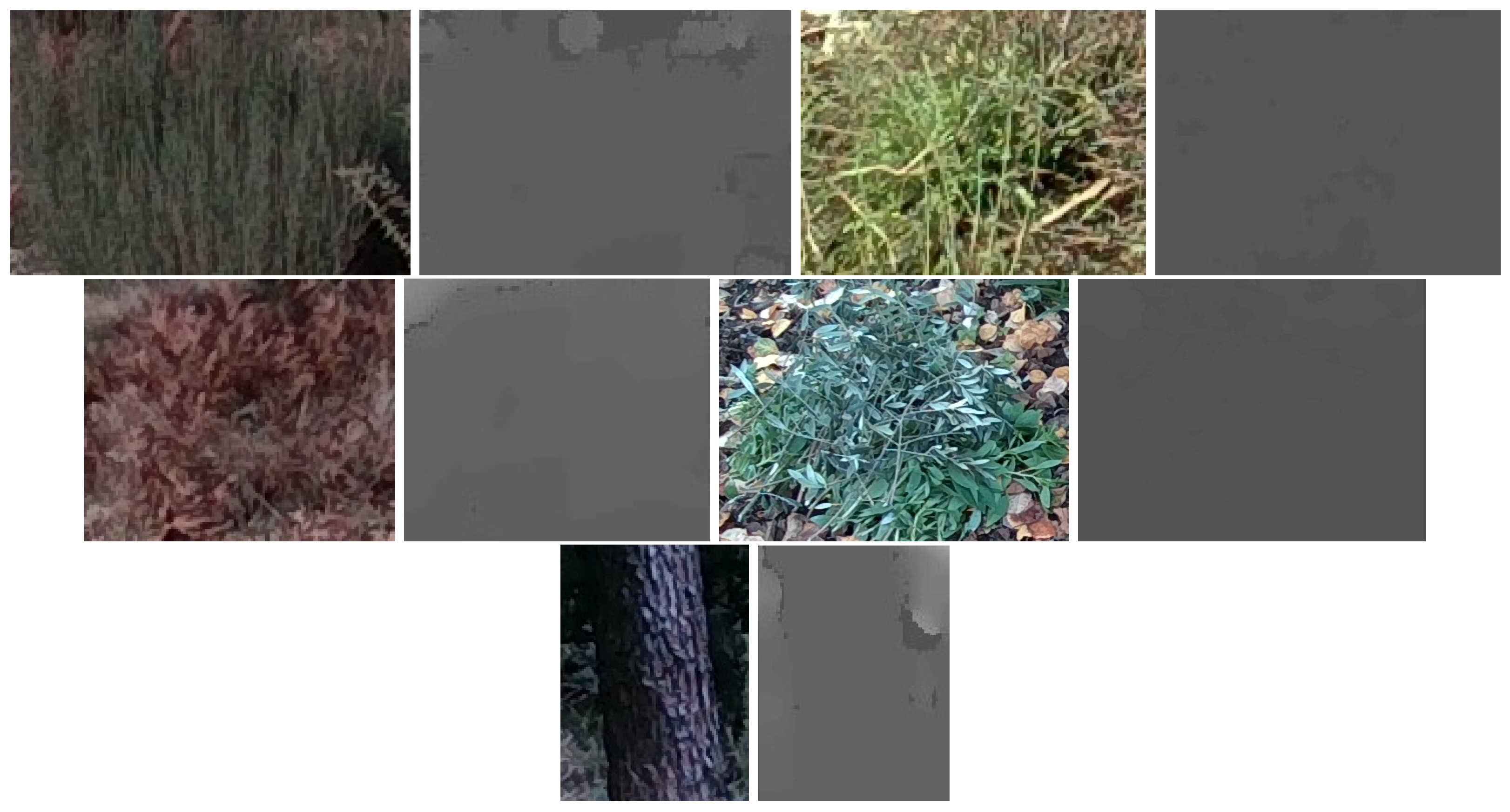 detecting trees with deepforest: a simple tutorial... Forest Vegetation 3D Localization Using Deep Learning Object Detectors